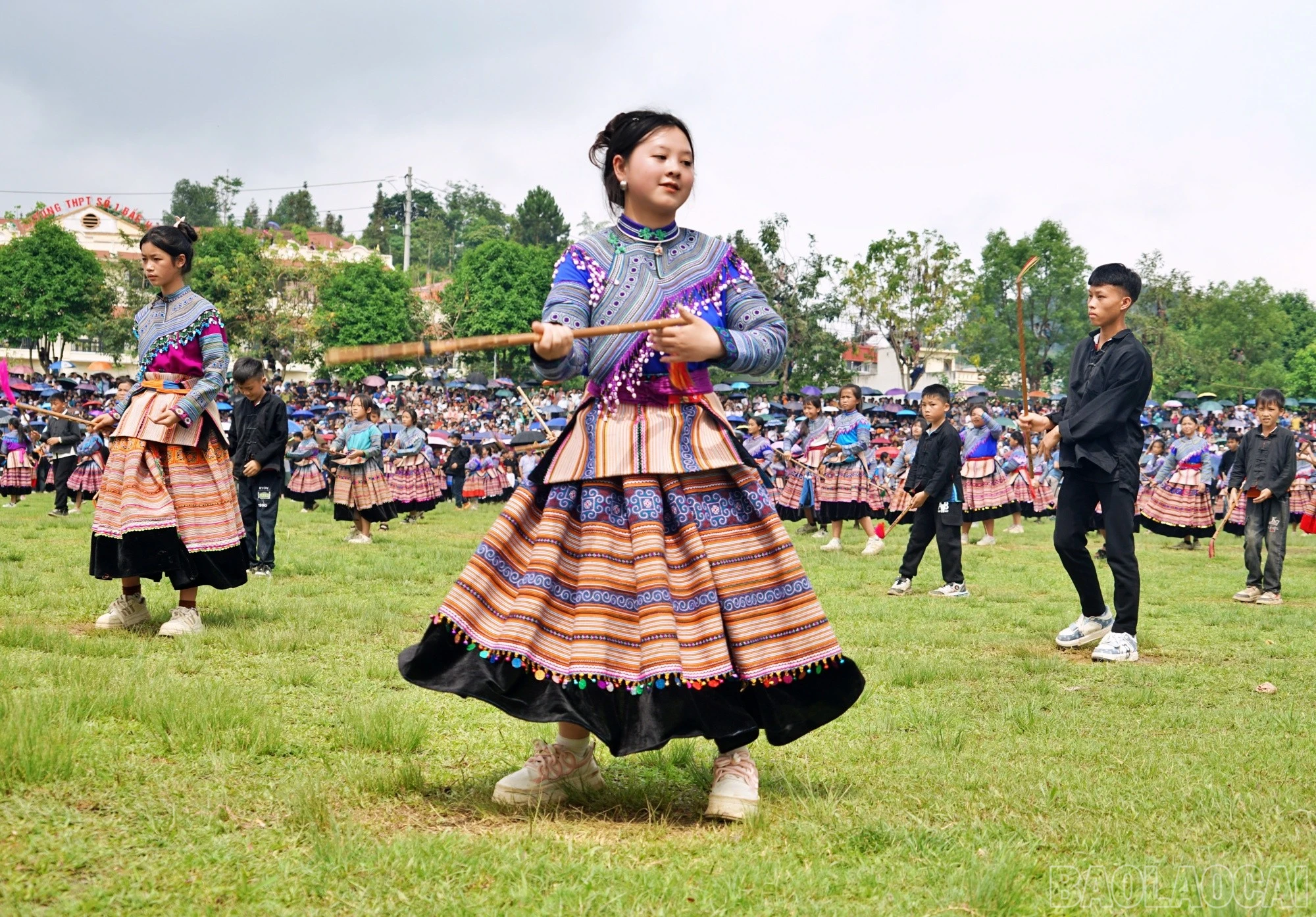 baolaocai-br_bac90.jpg