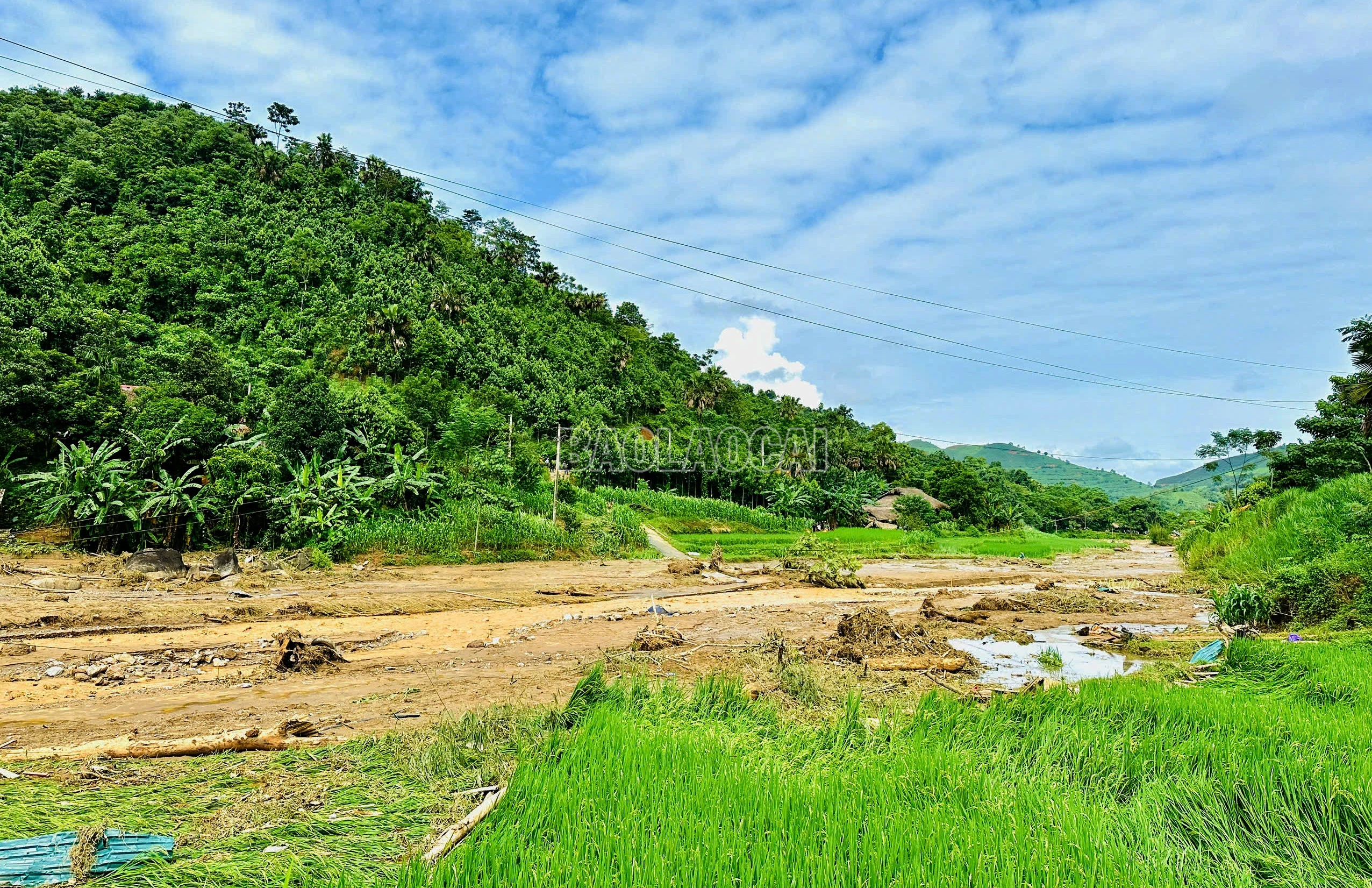 thoi.jpg