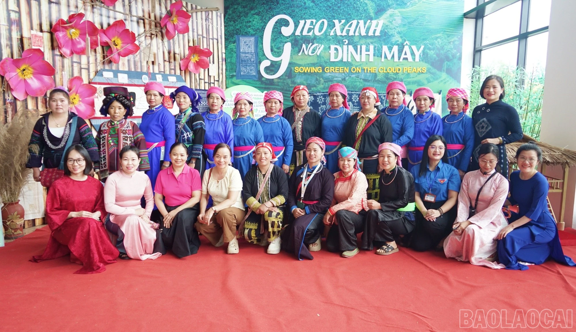 baolaocai-br_xanh91.jpg