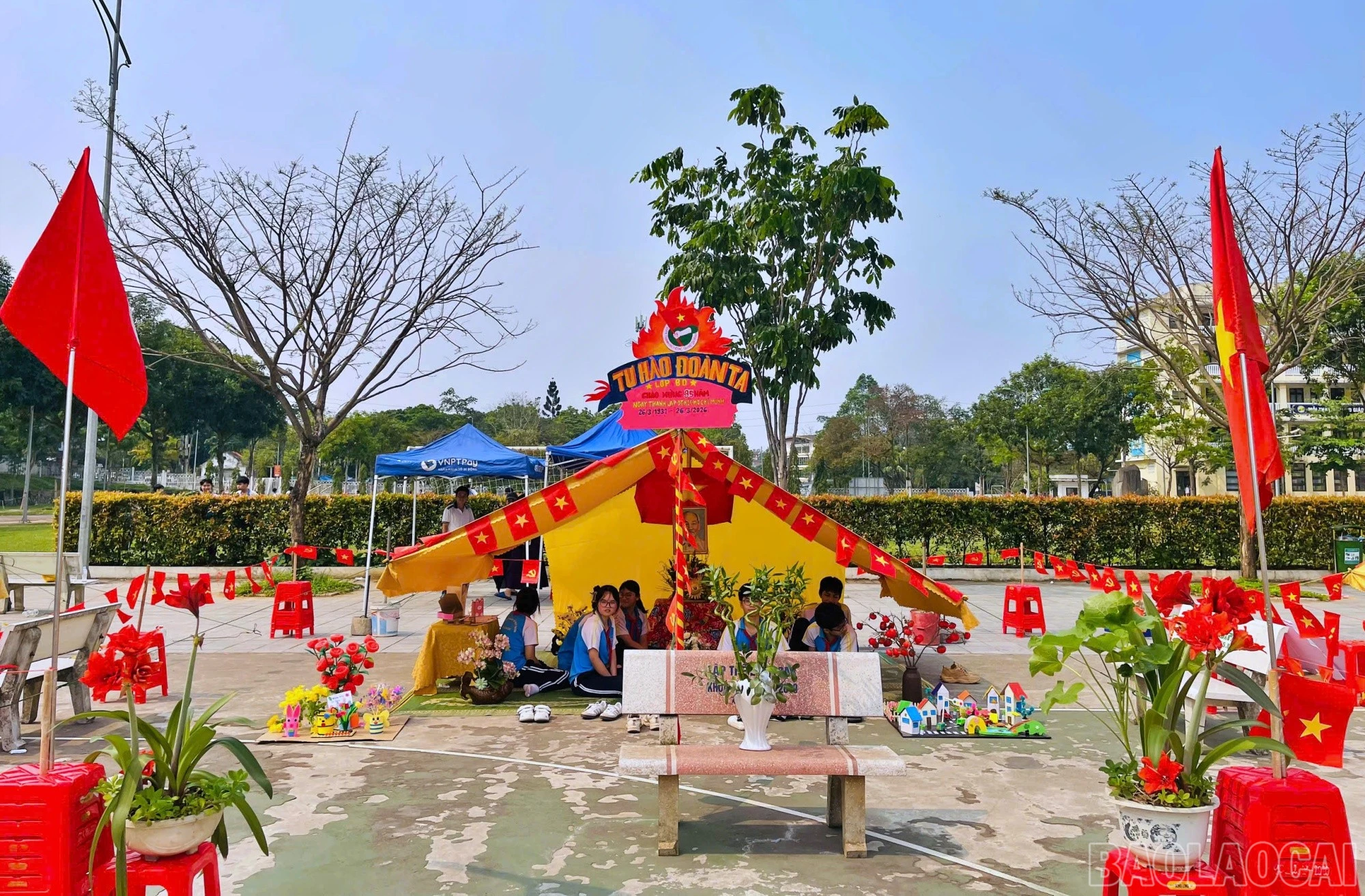 baolaocai-br_don91.jpg