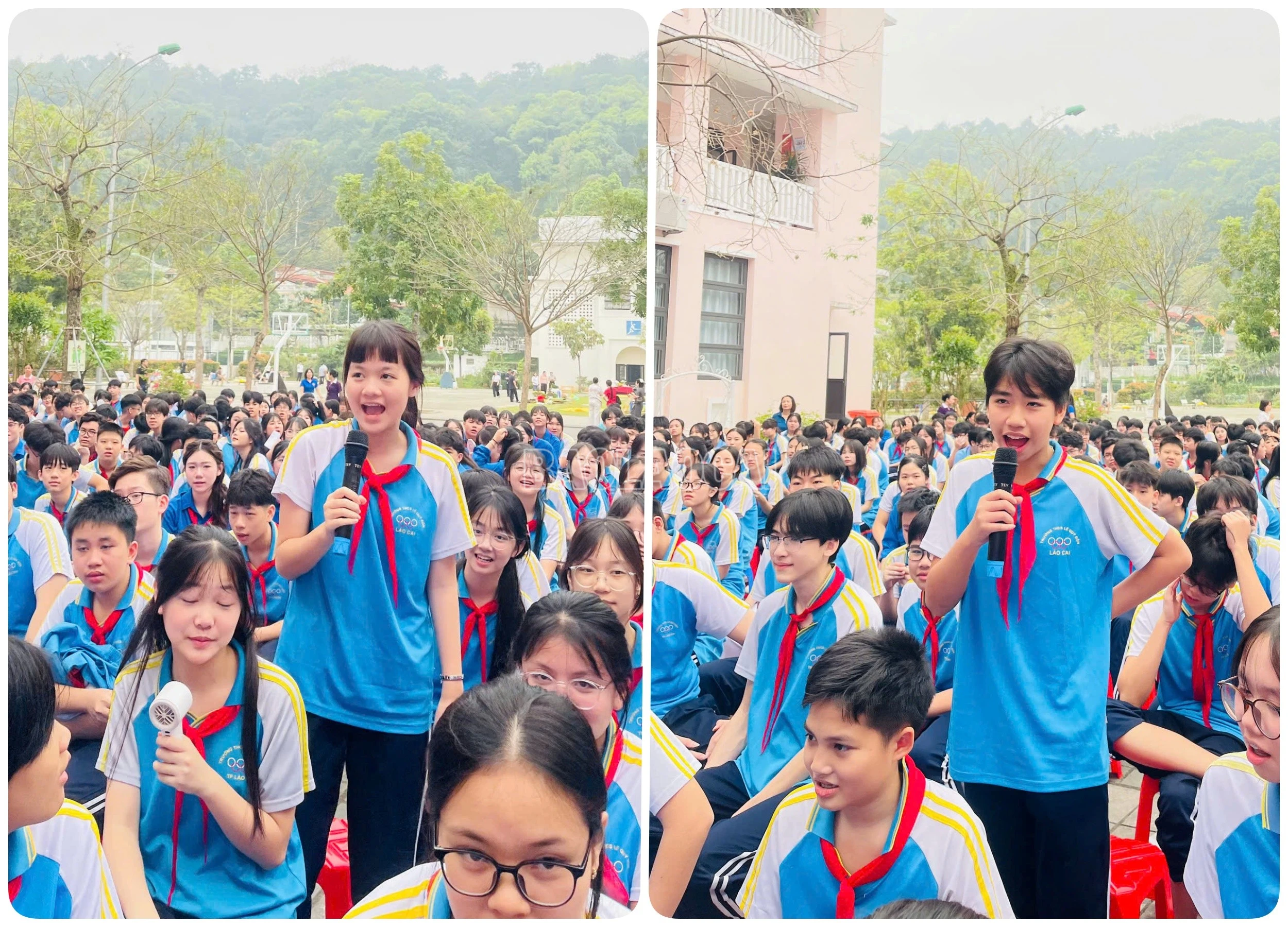 baolaocai-c_don5.jpg