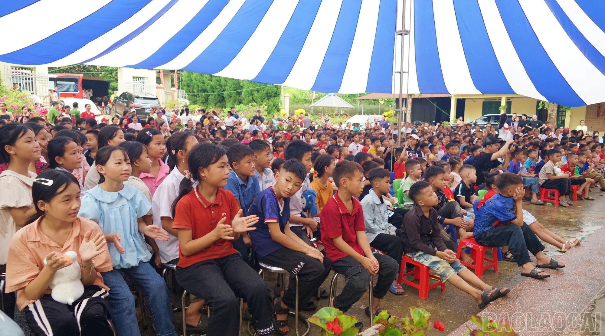 baolaocai-br_thainien3.jpg