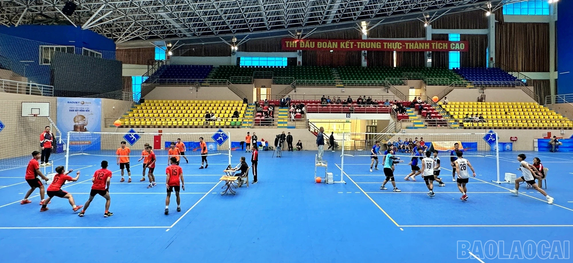 baolaocai-br_bc5.jpg