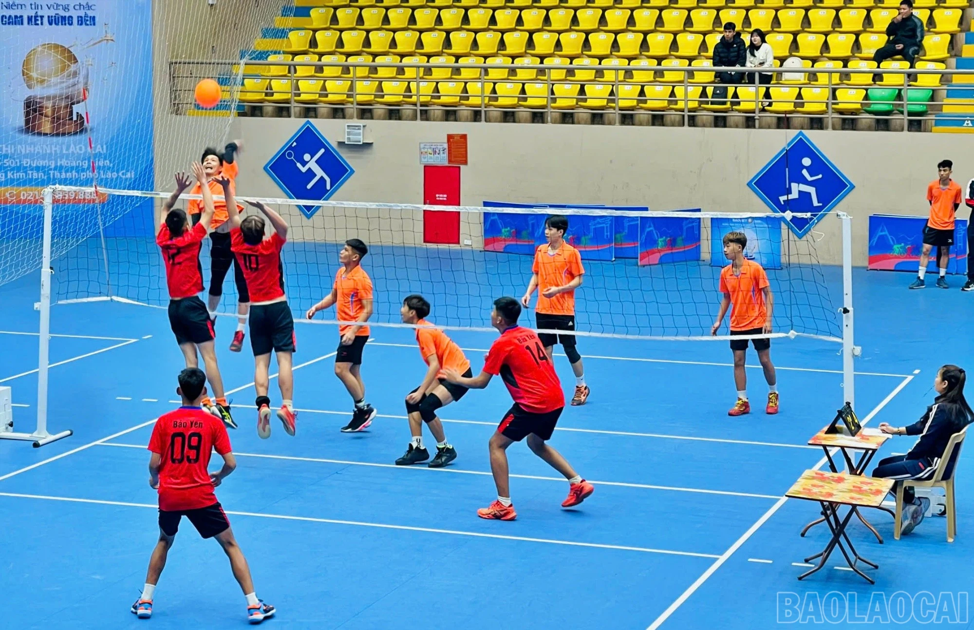 baolaocai-br_bc6.jpg