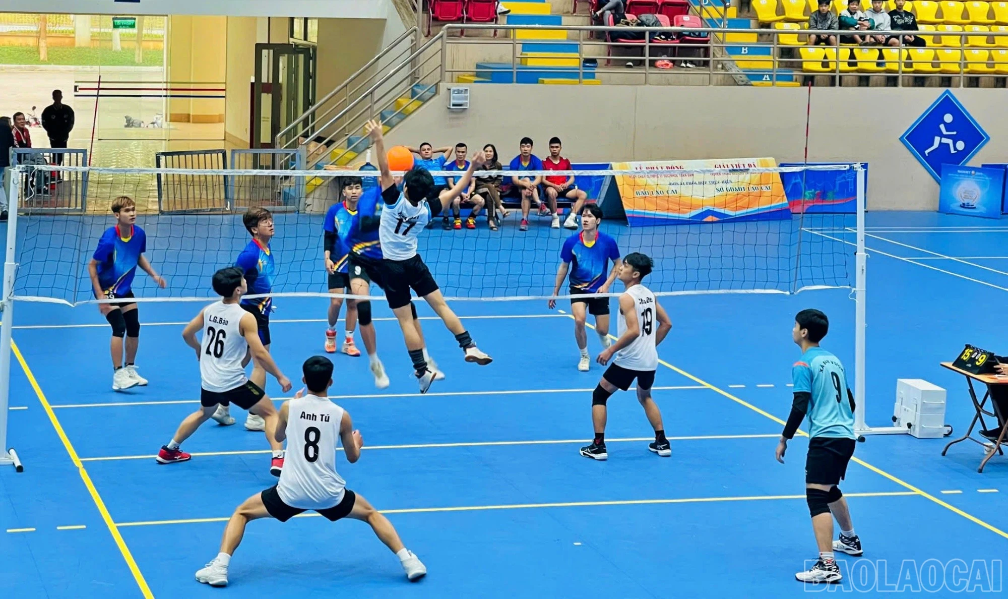 baolaocai-br_bc8.jpg