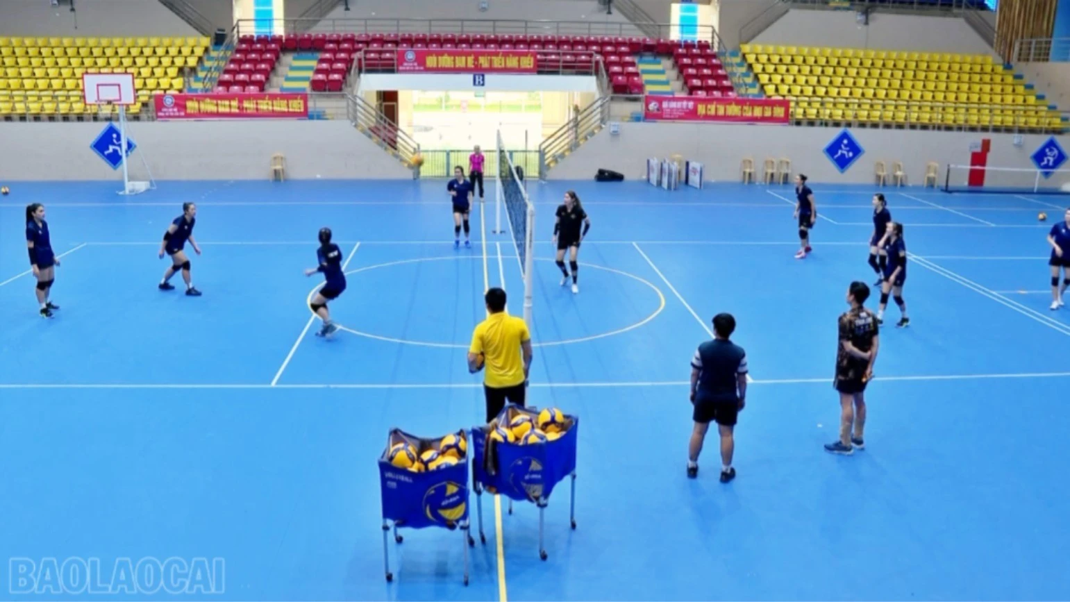 qninh7-3351-7471-4203.png