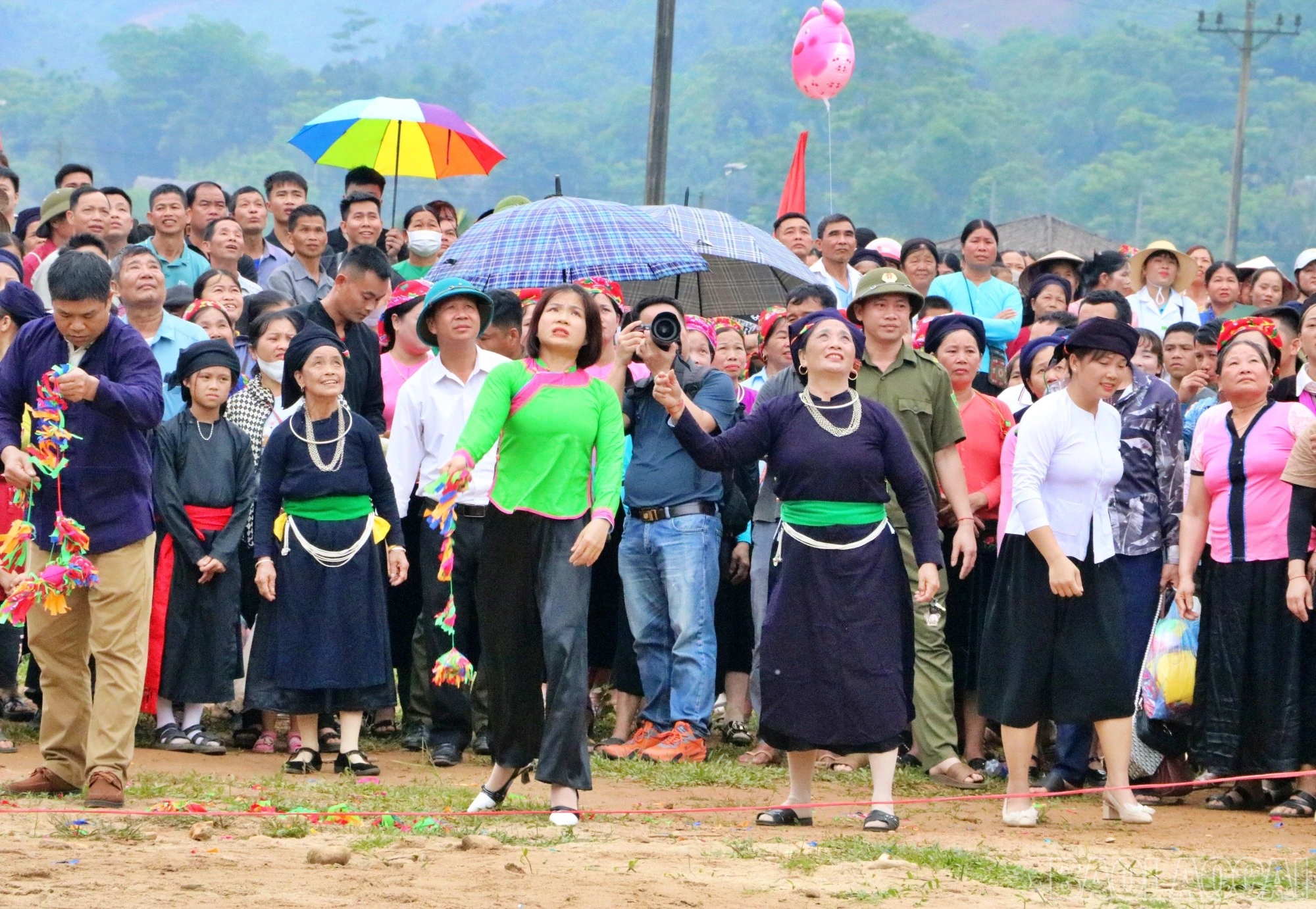 baolaocai-br_nemcon1.jpg