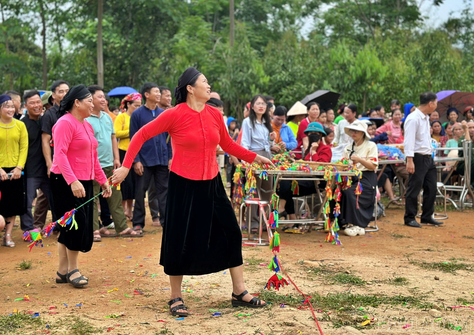 baolaocai-br_con90.jpg