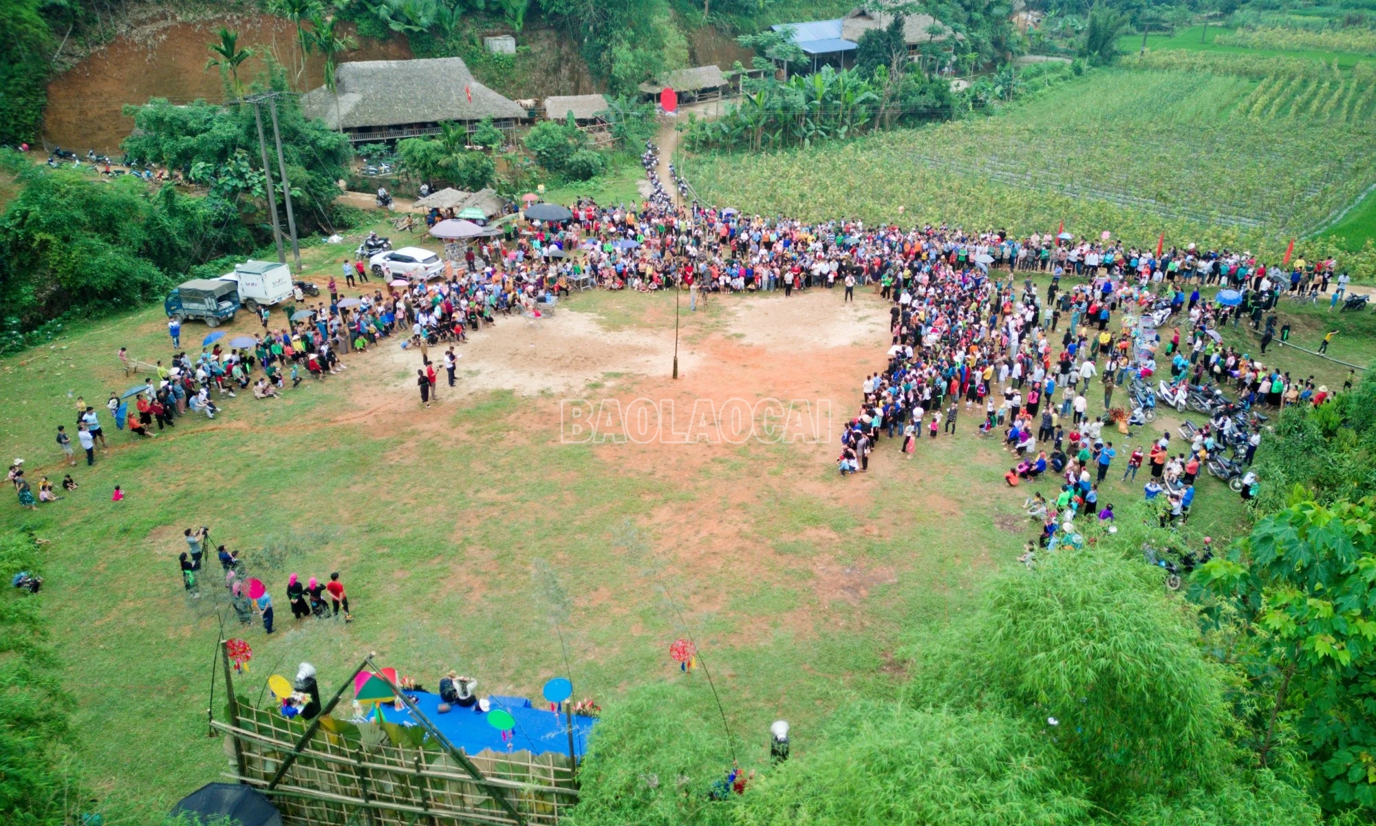 baolaocai-c_con1.jpg