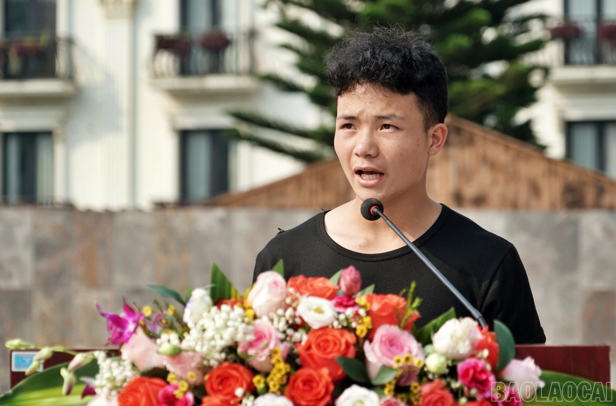 baolaocai-br_kmm-10.jpg