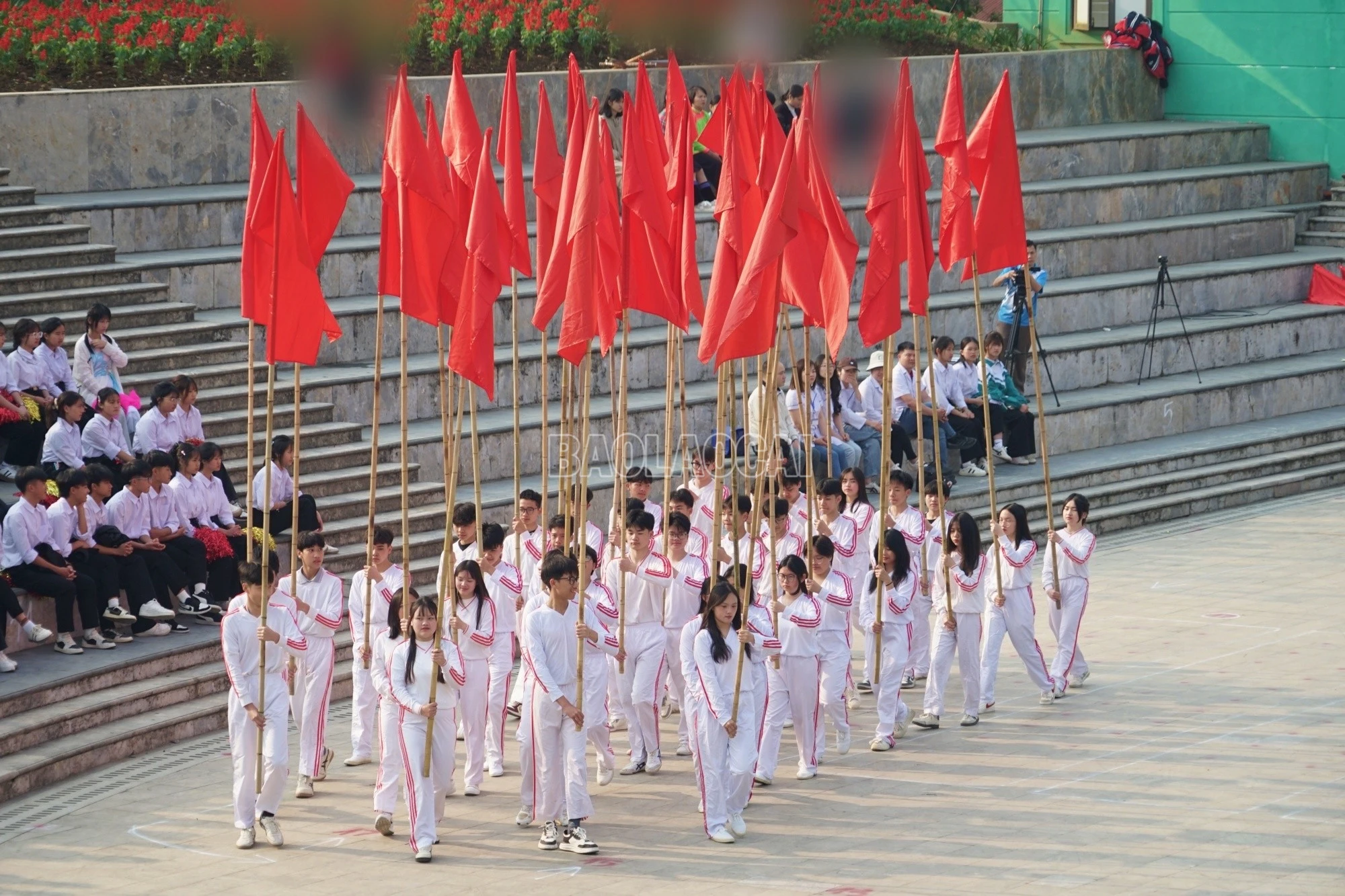 baolaocai-c_km-2-534.jpg