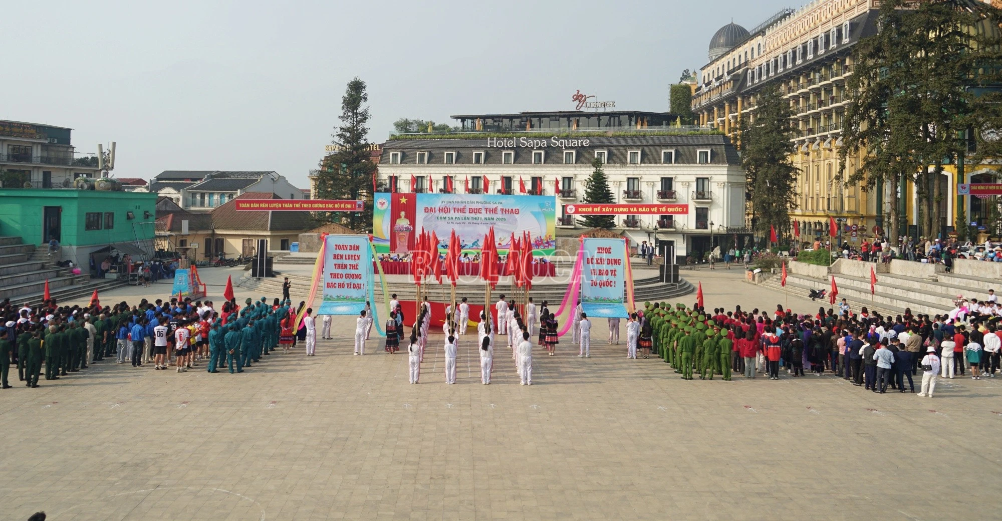 baolaocai-c_kmm-7.jpg