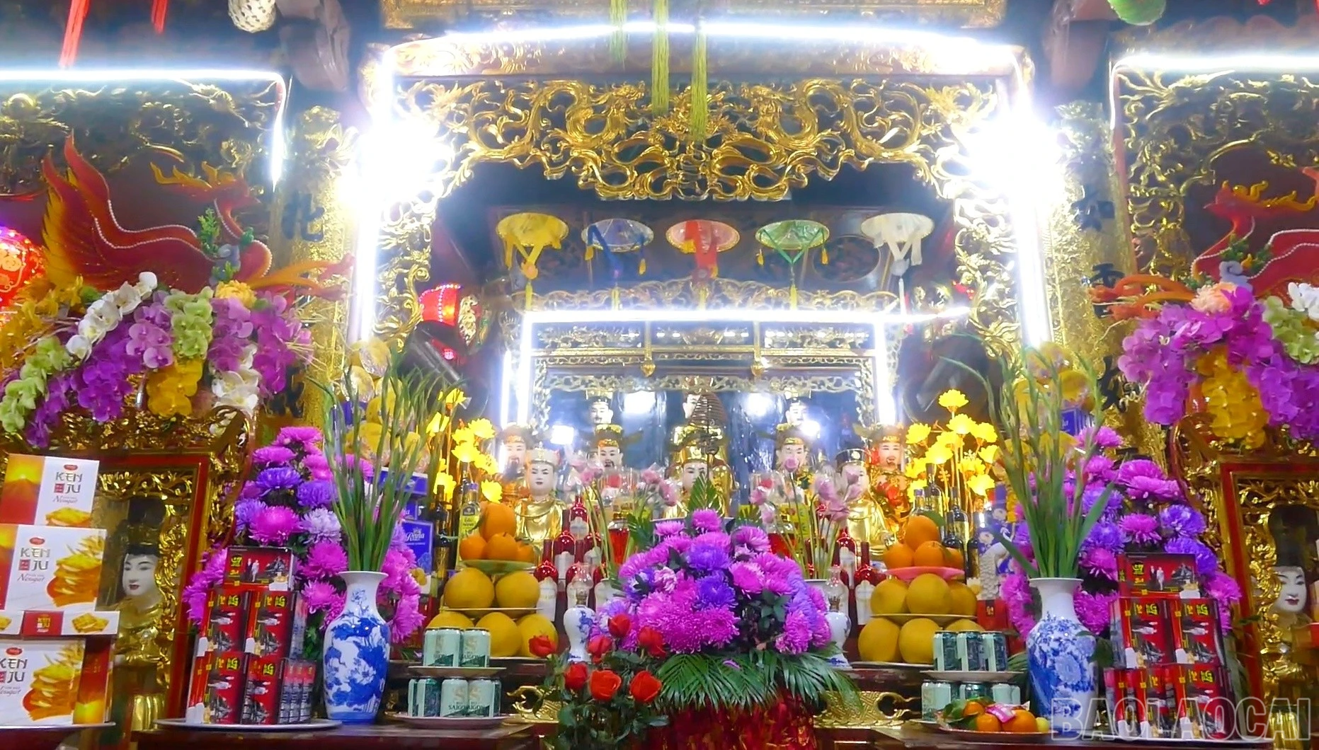 baolaocai-br_den-cam1.jpg
