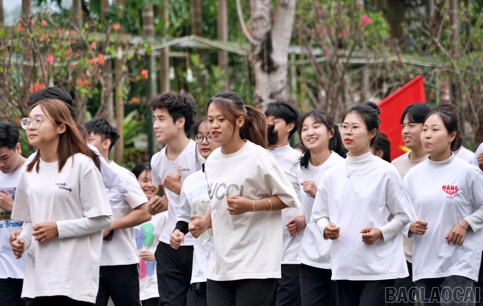 baolaocai-br_thai7.jpg