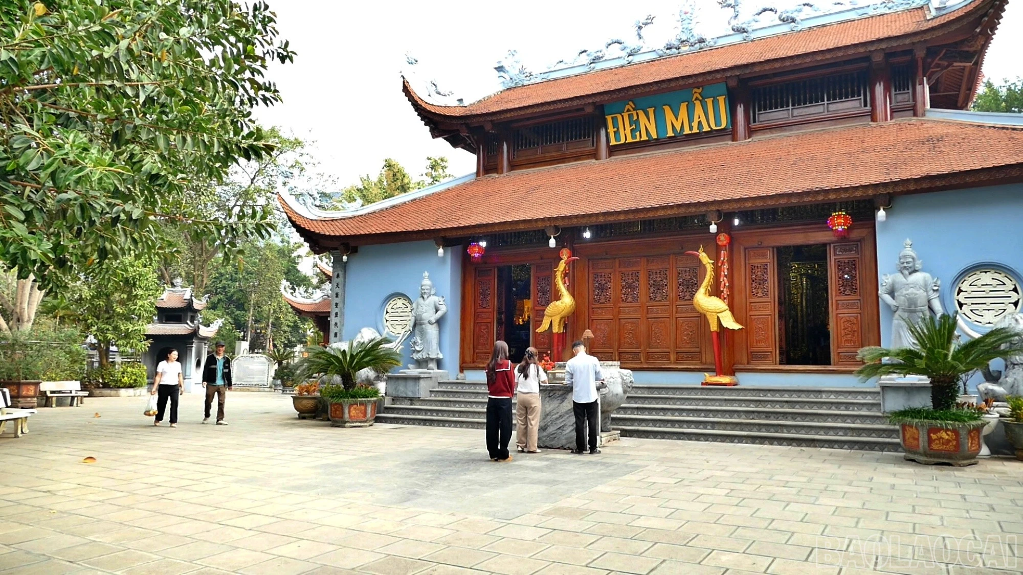 baolaocai-br_mau1.jpg
