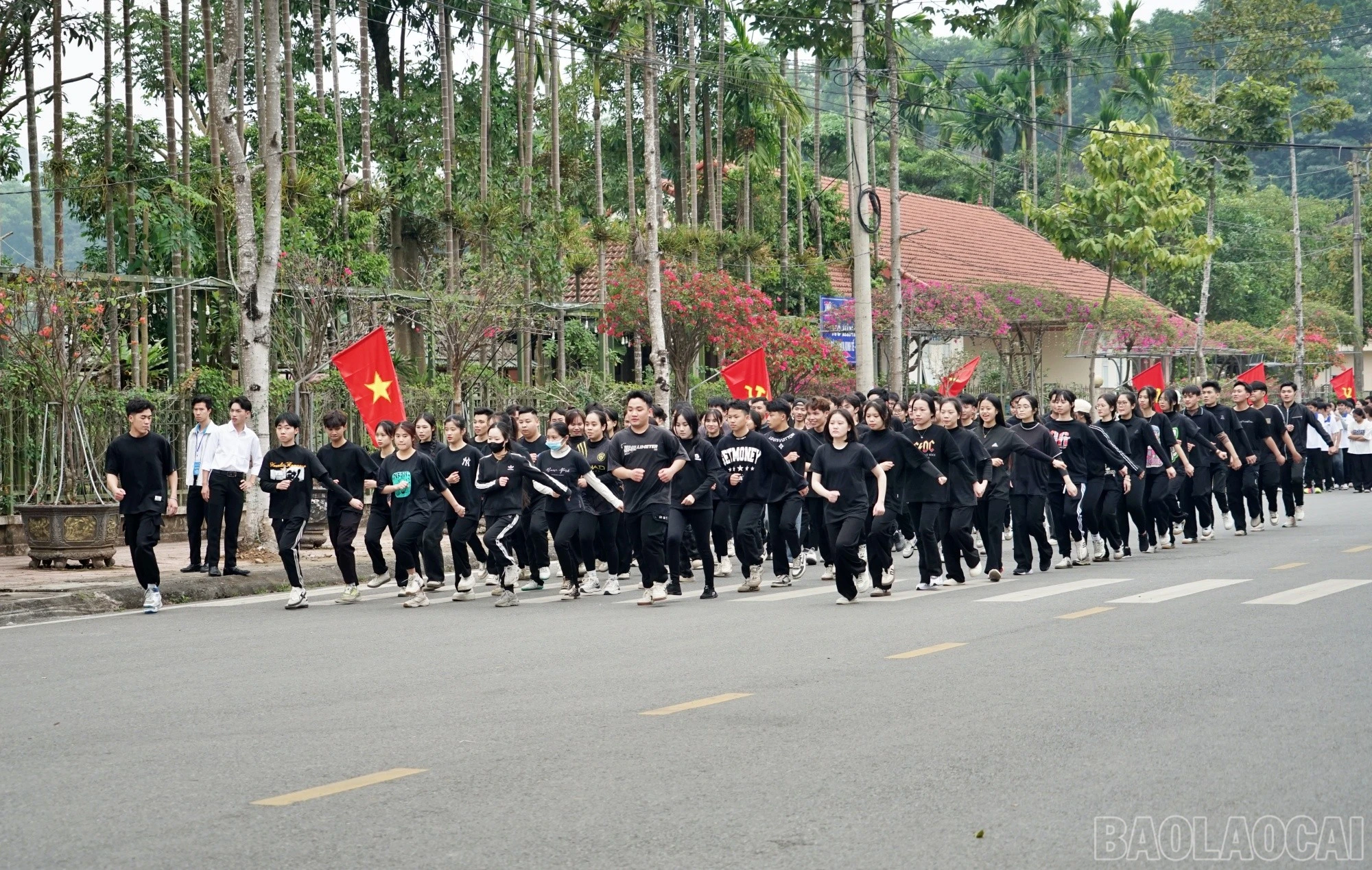 baolaocai-br_thai6.jpg