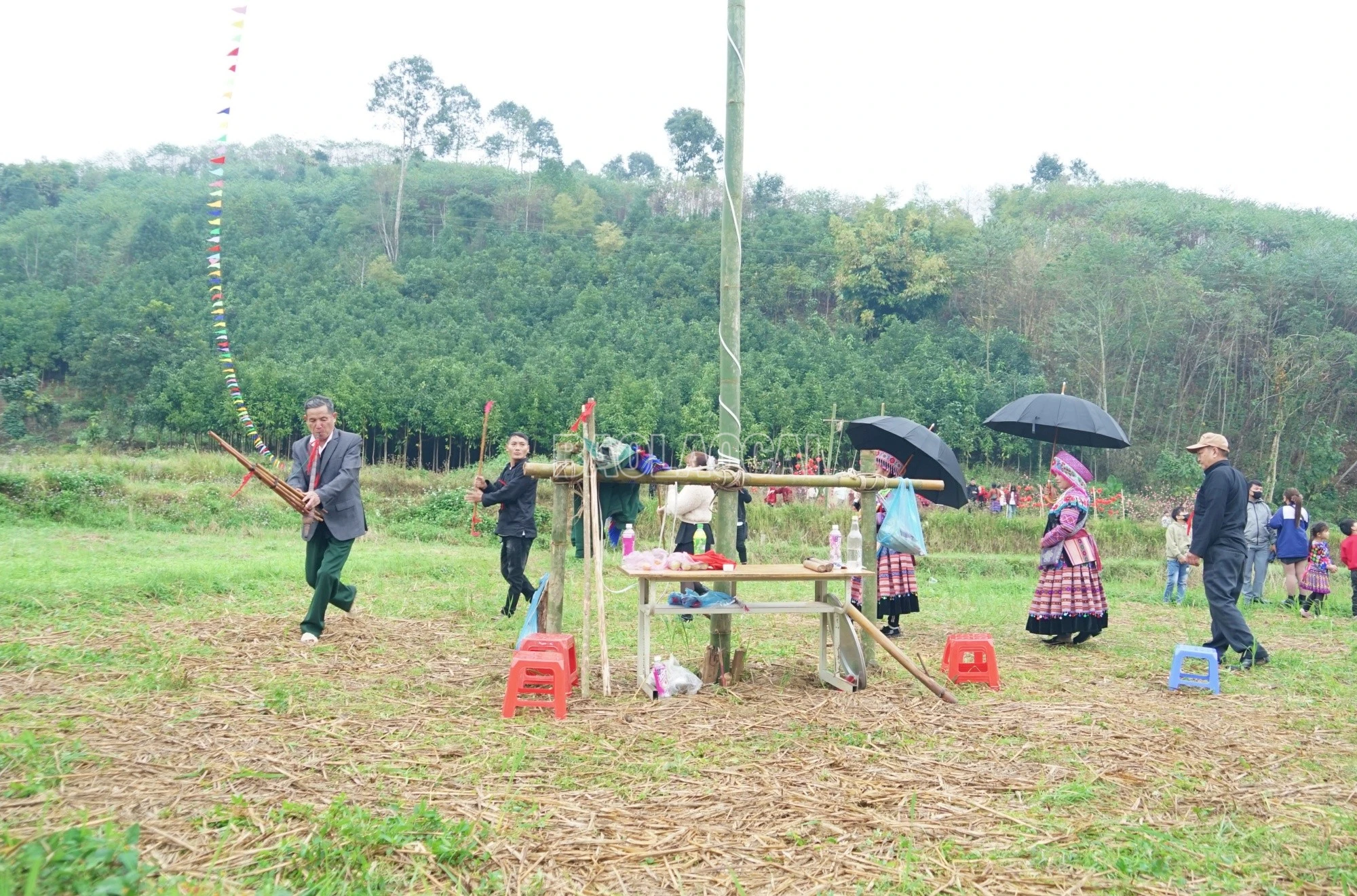 baolaocai-c_quang96.jpg