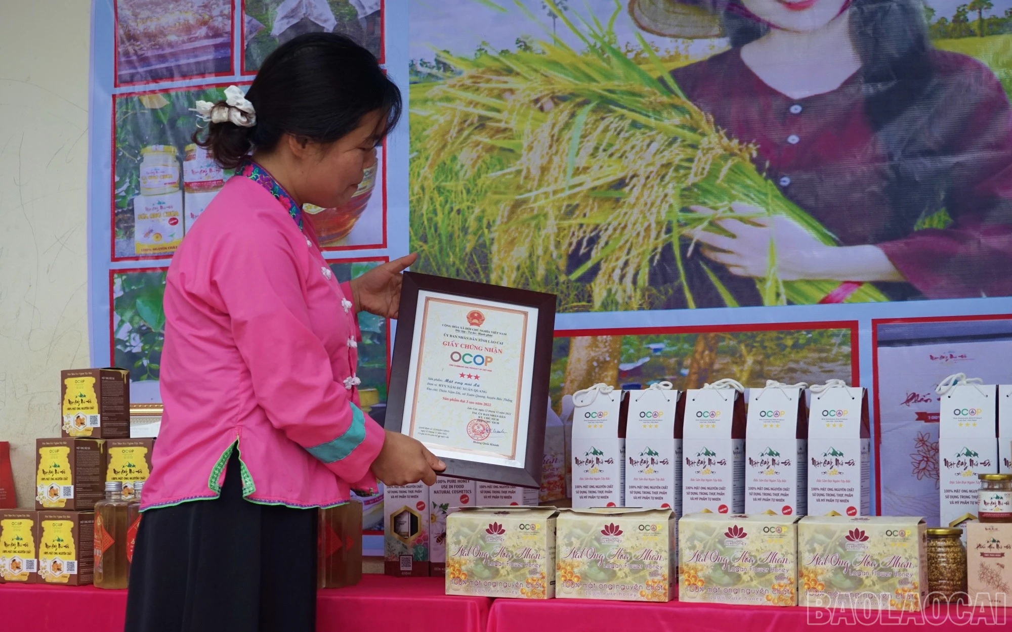 baolaocai-br_quang95.jpg