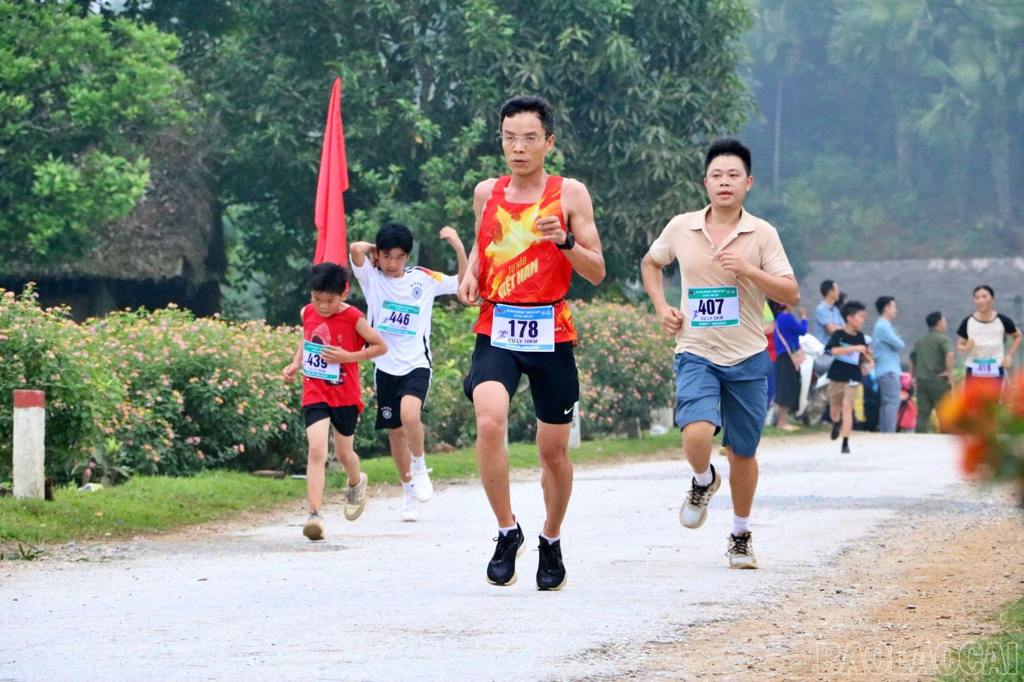 baolaocai-br_chay93.jpg