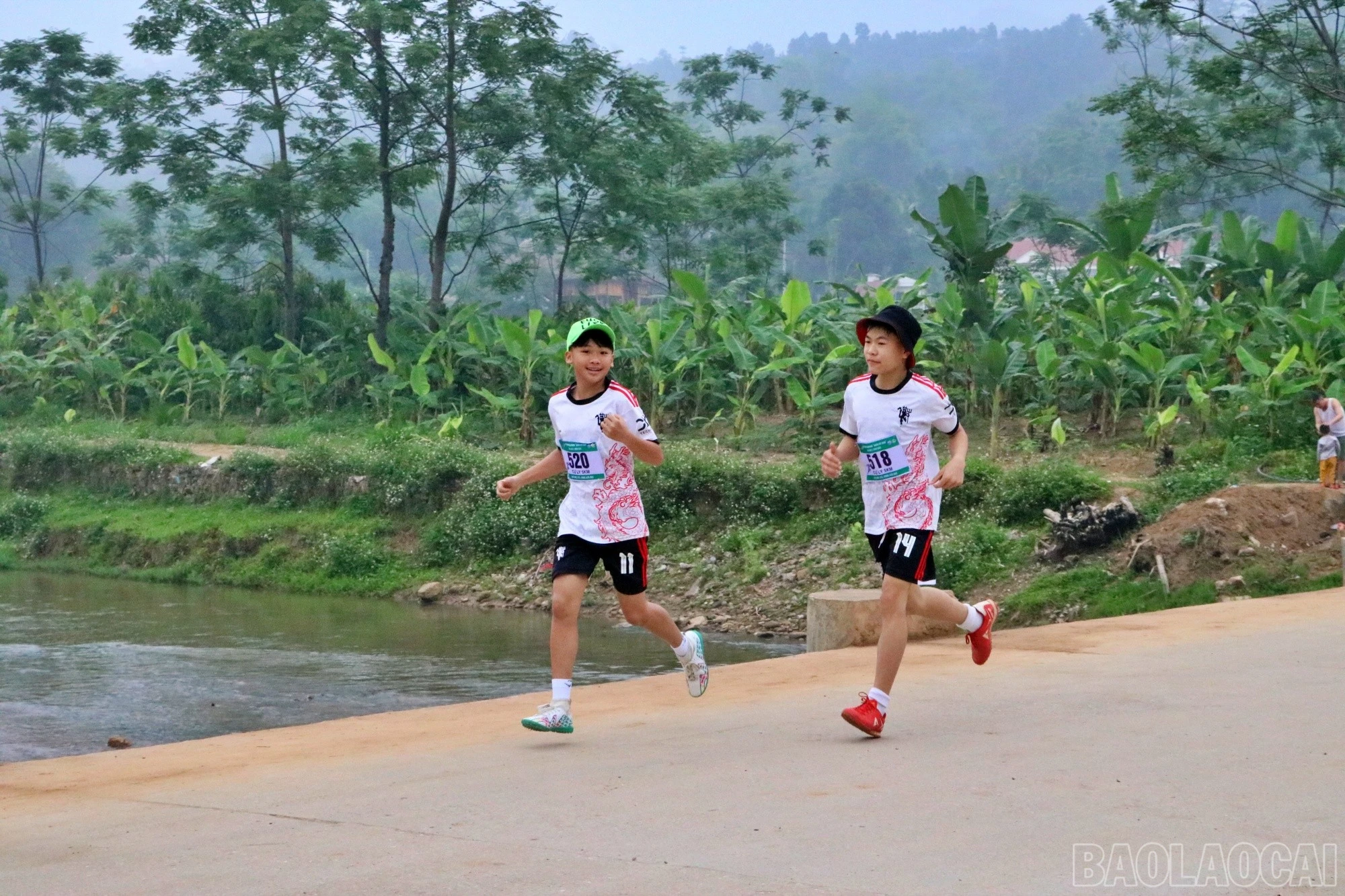 baolaocai-br_cahy90.jpg
