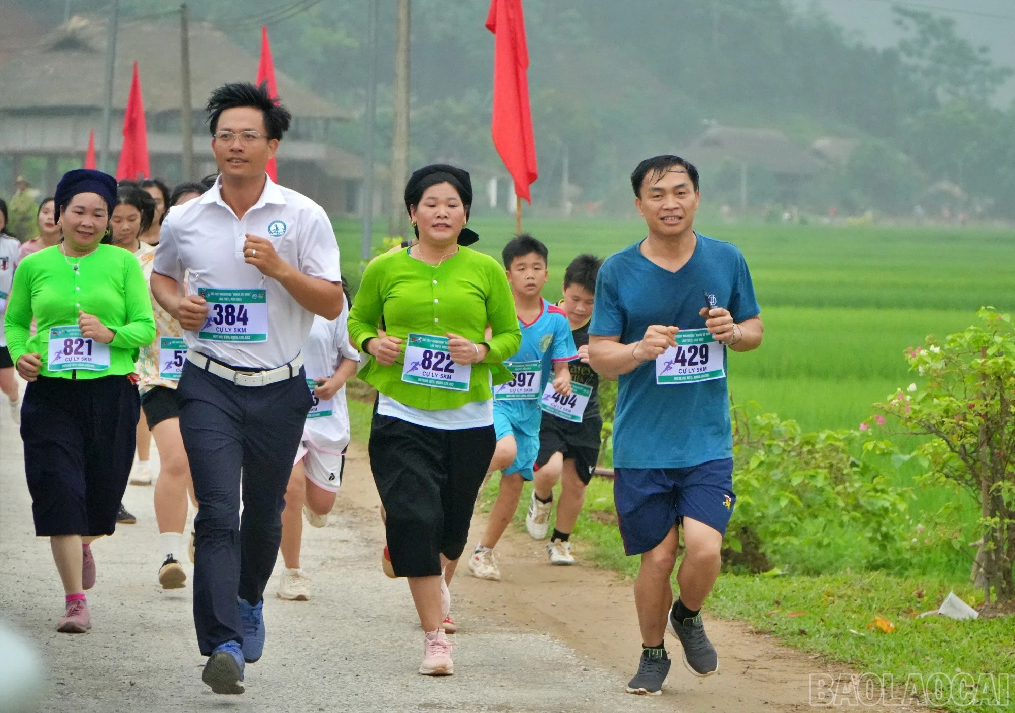 baolaocai-br_chay8.jpg