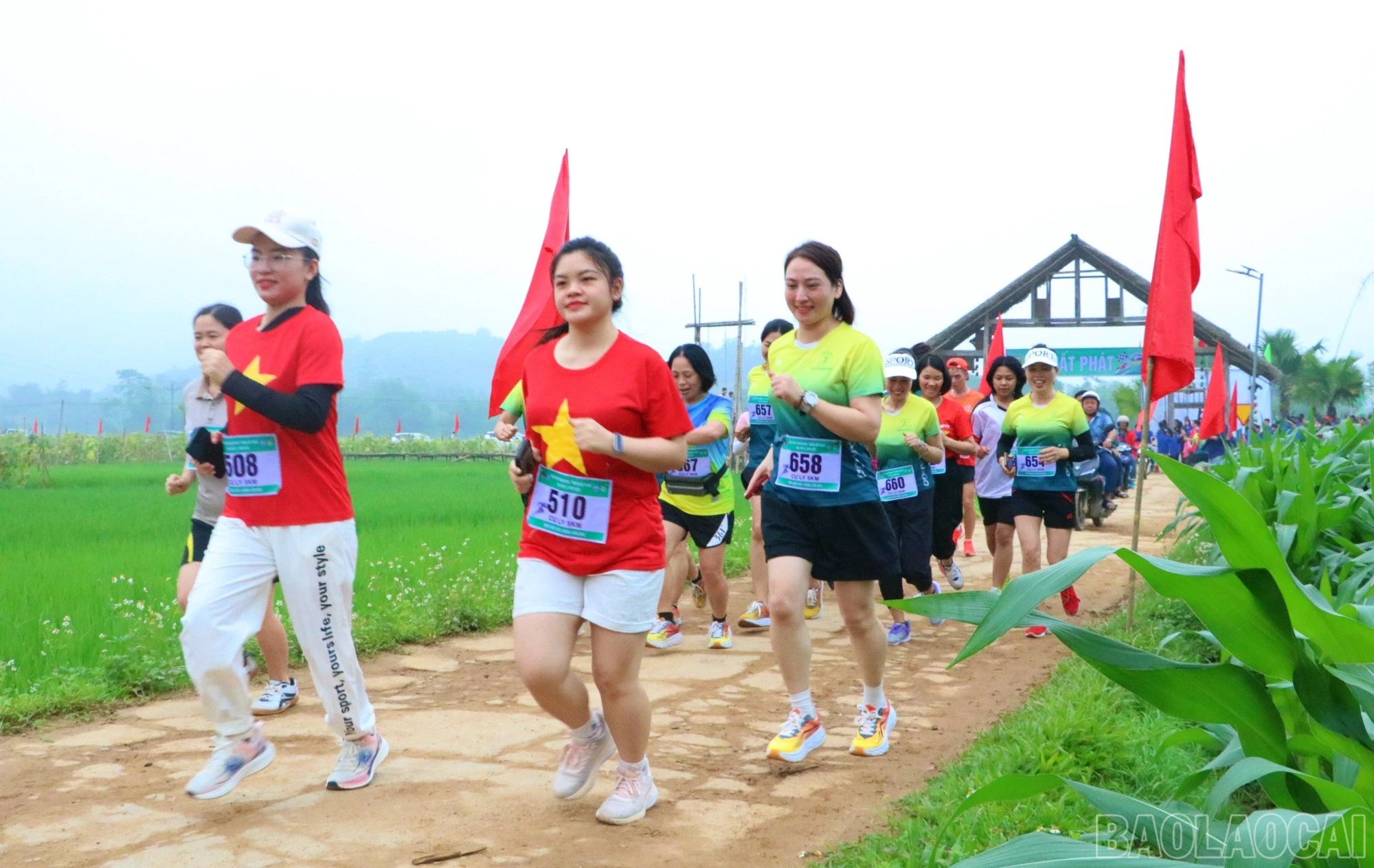 baolaocai-br_chay92.jpg