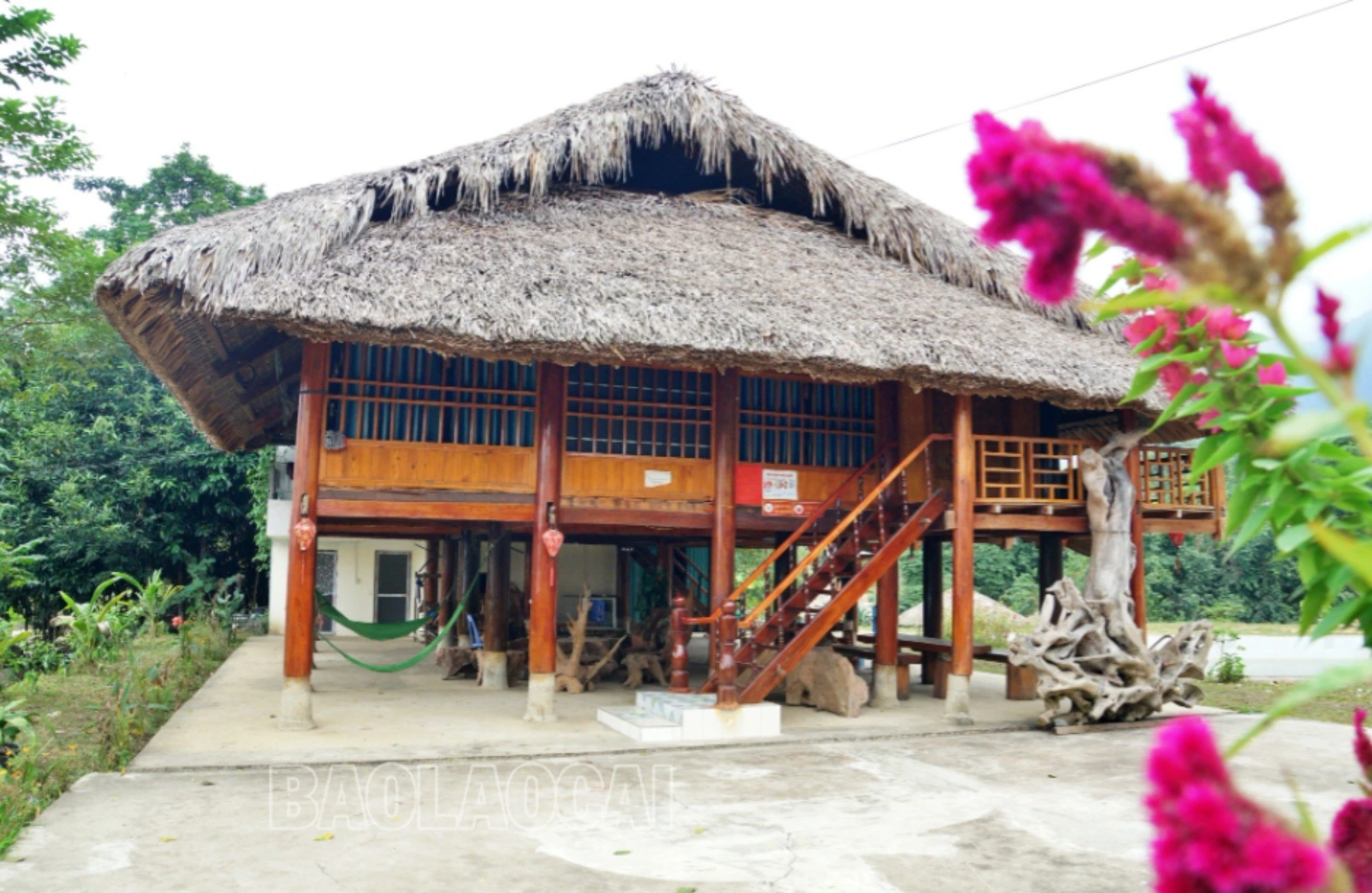 vanban6-6959.jpg