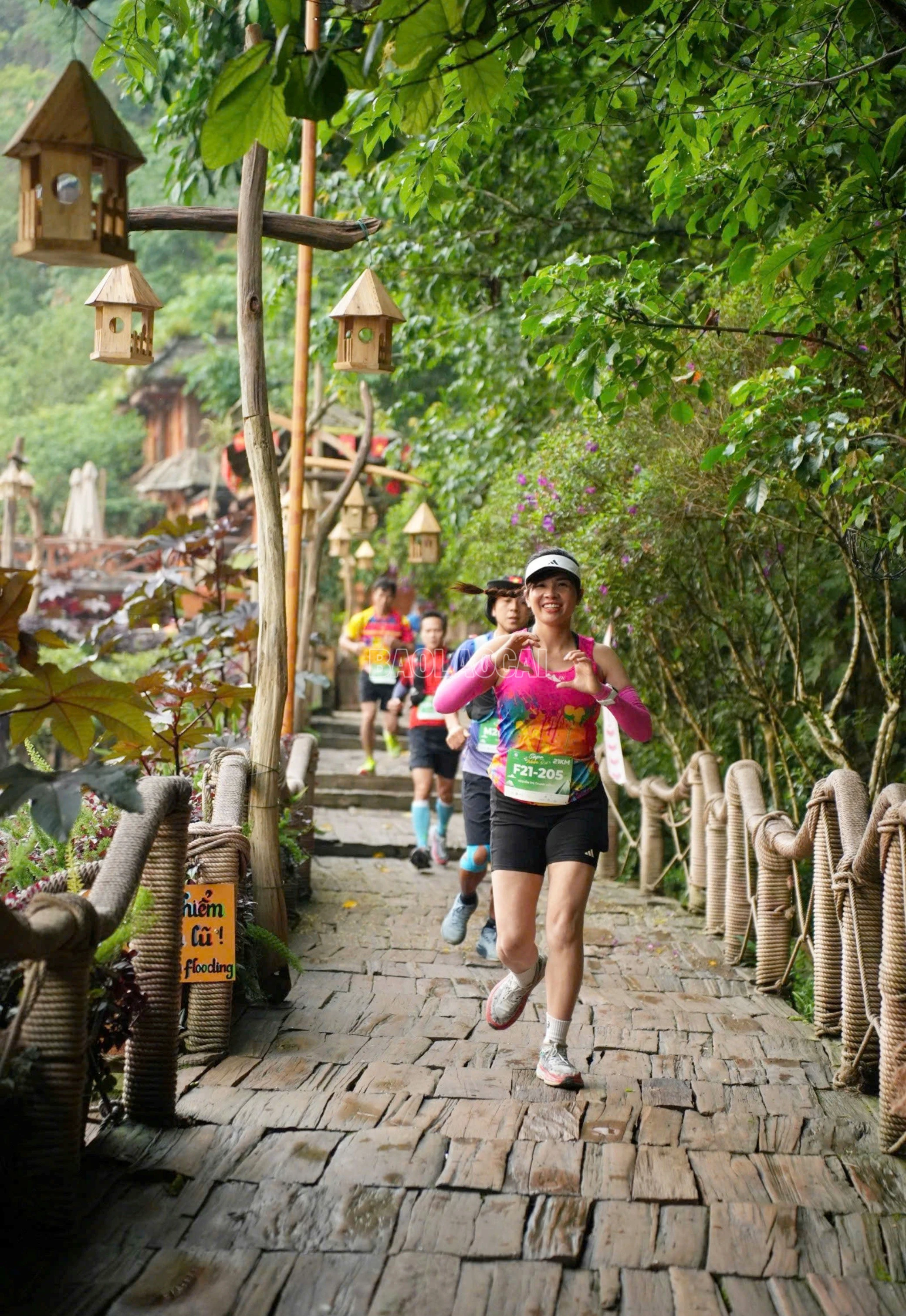 baolaocai-c_chay5.jpg