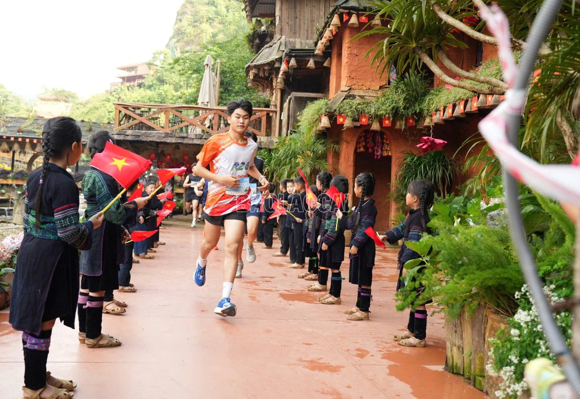 baolaocai-c_chay2.jpg
