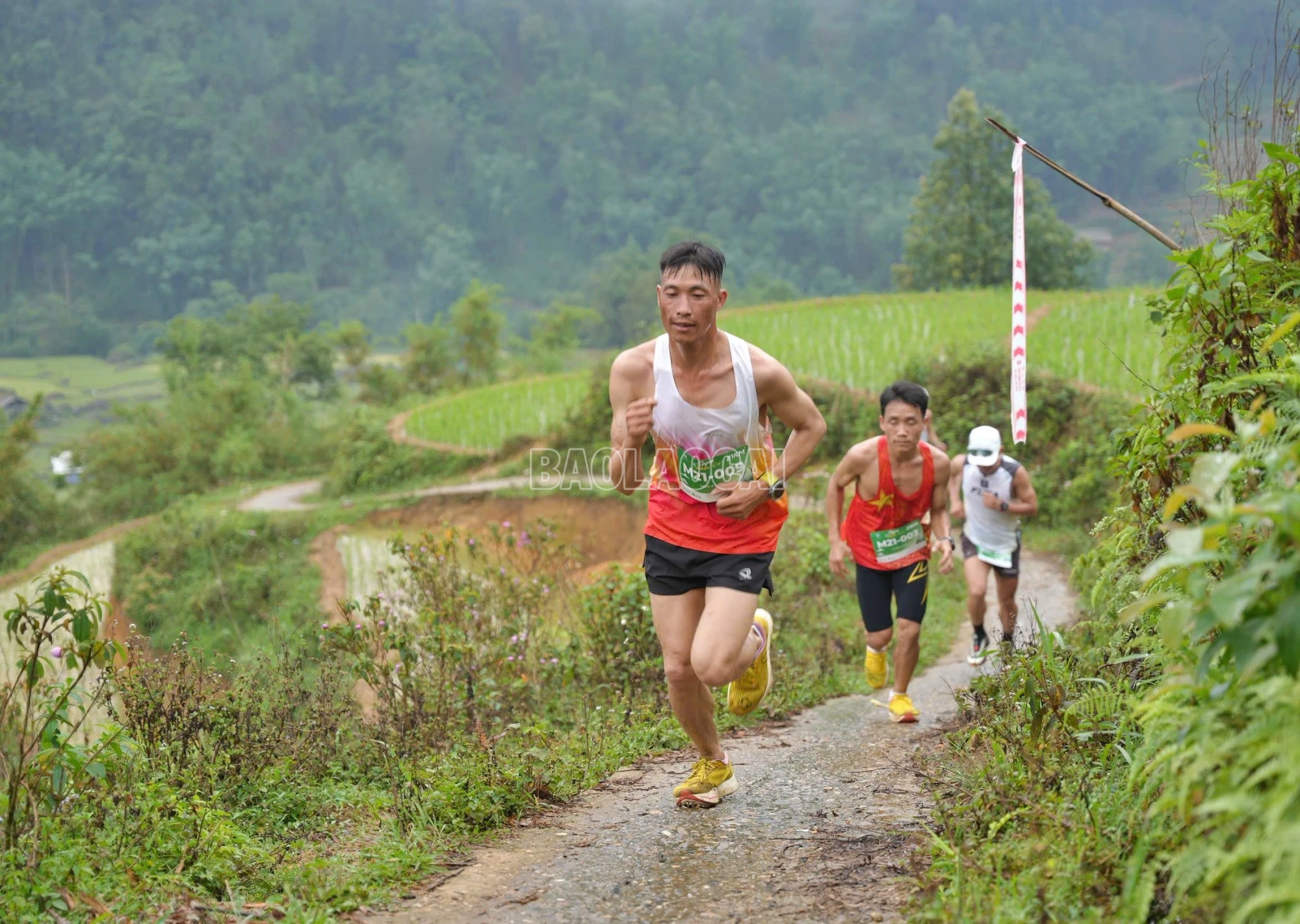 baolaocai-c_chay7.jpg