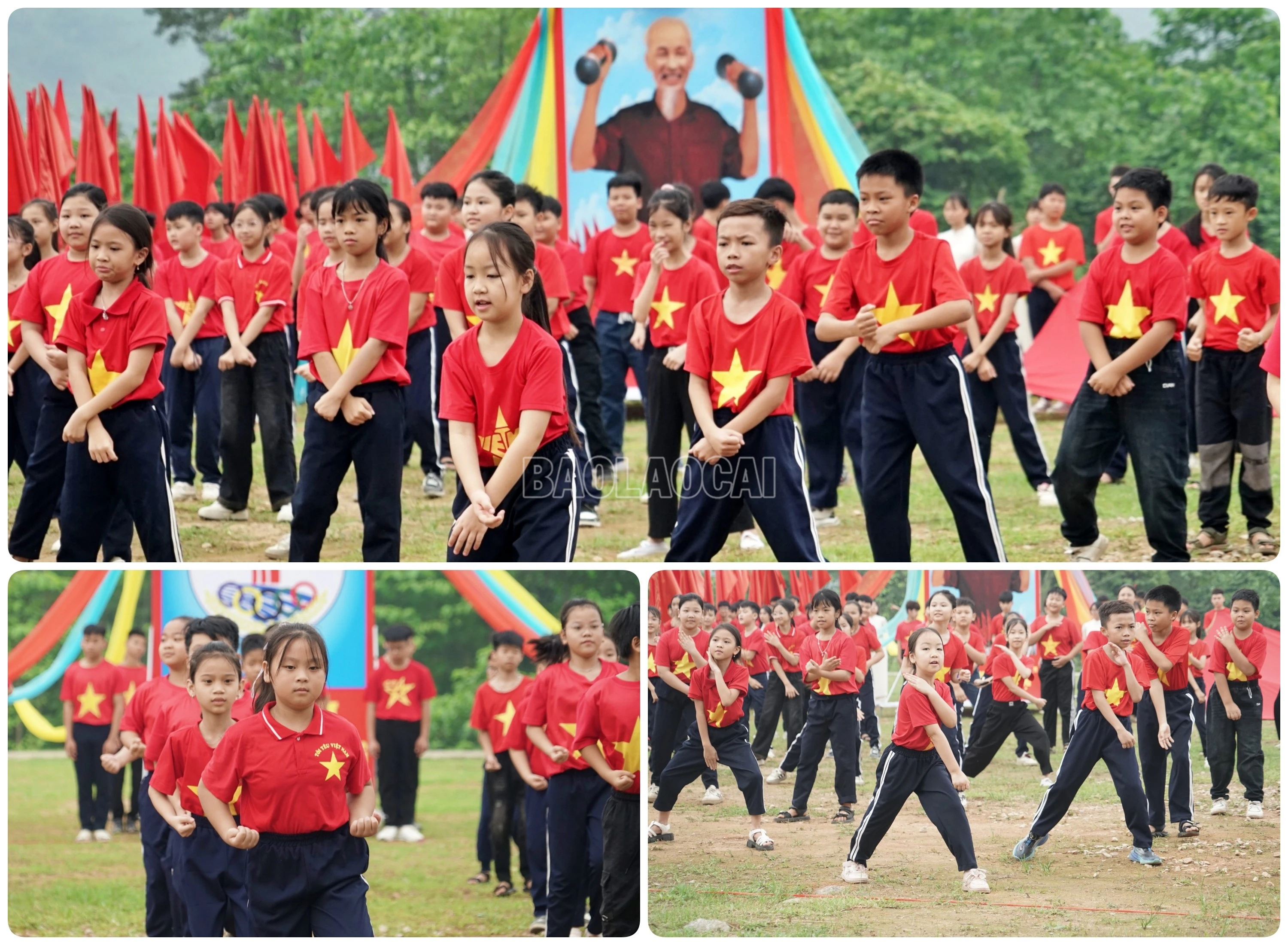 baolaocai-c_vo.jpg