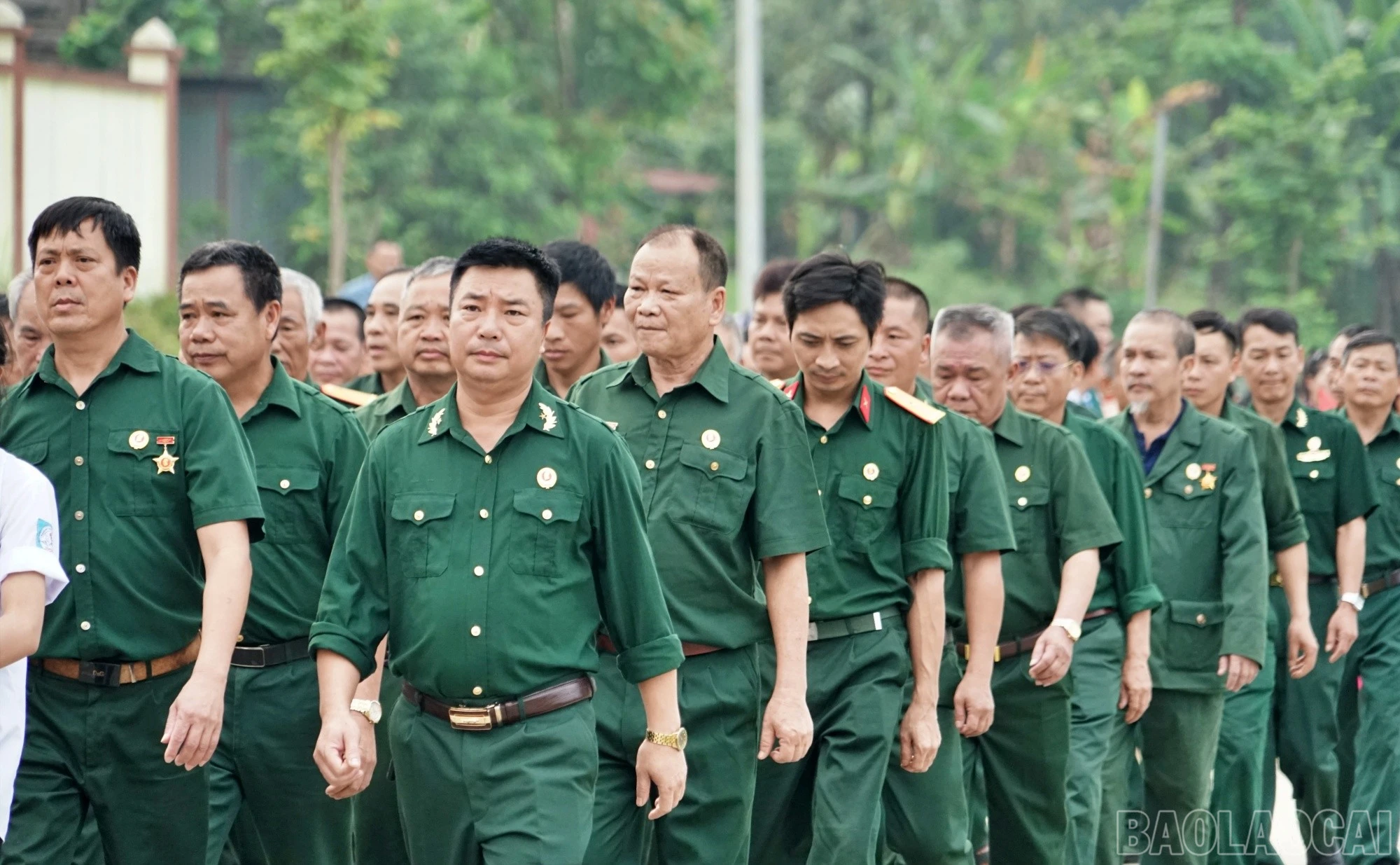 baolaocai-br_tanglong8.jpg