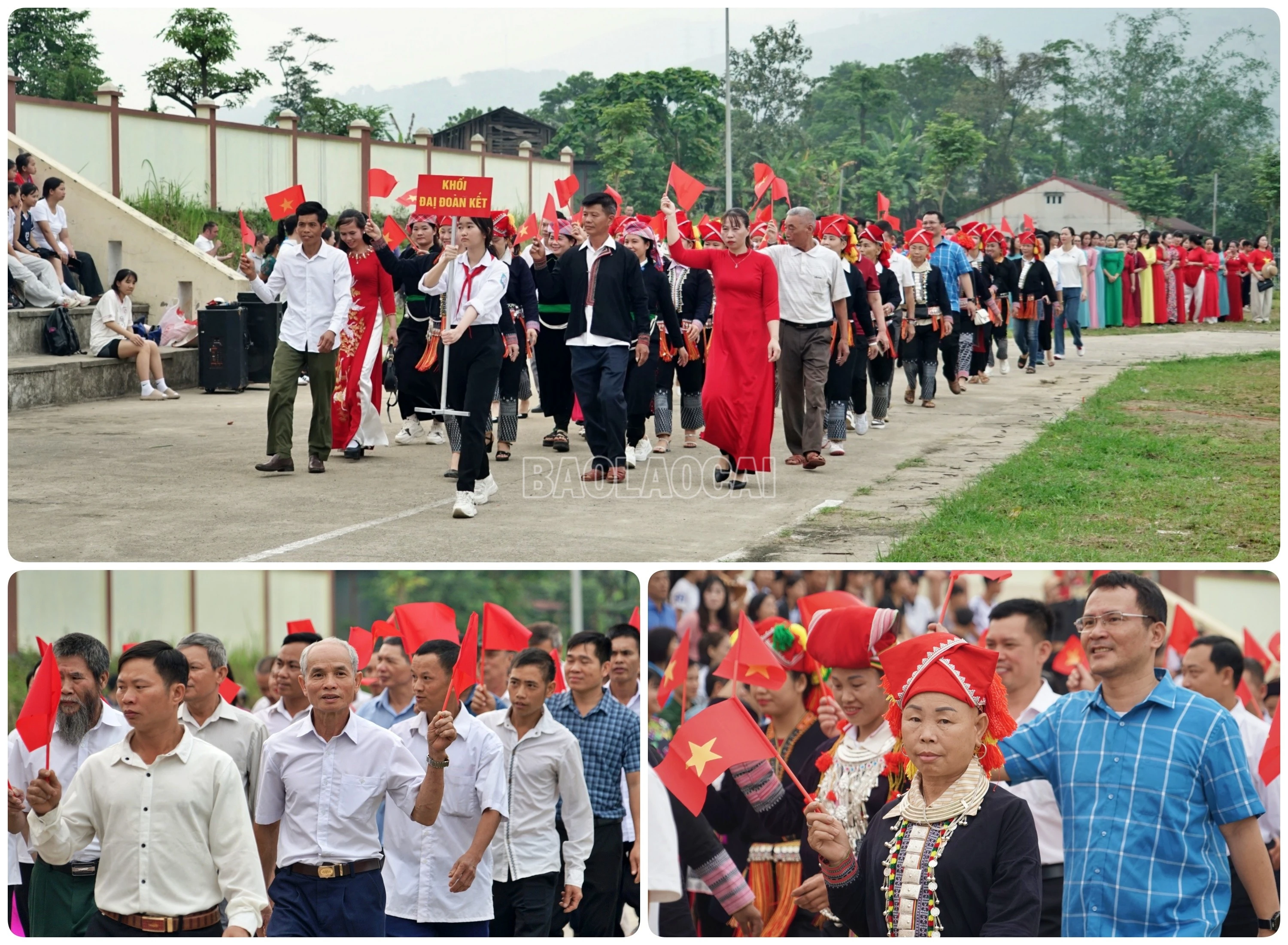baolaocai-c_doanket.jpg