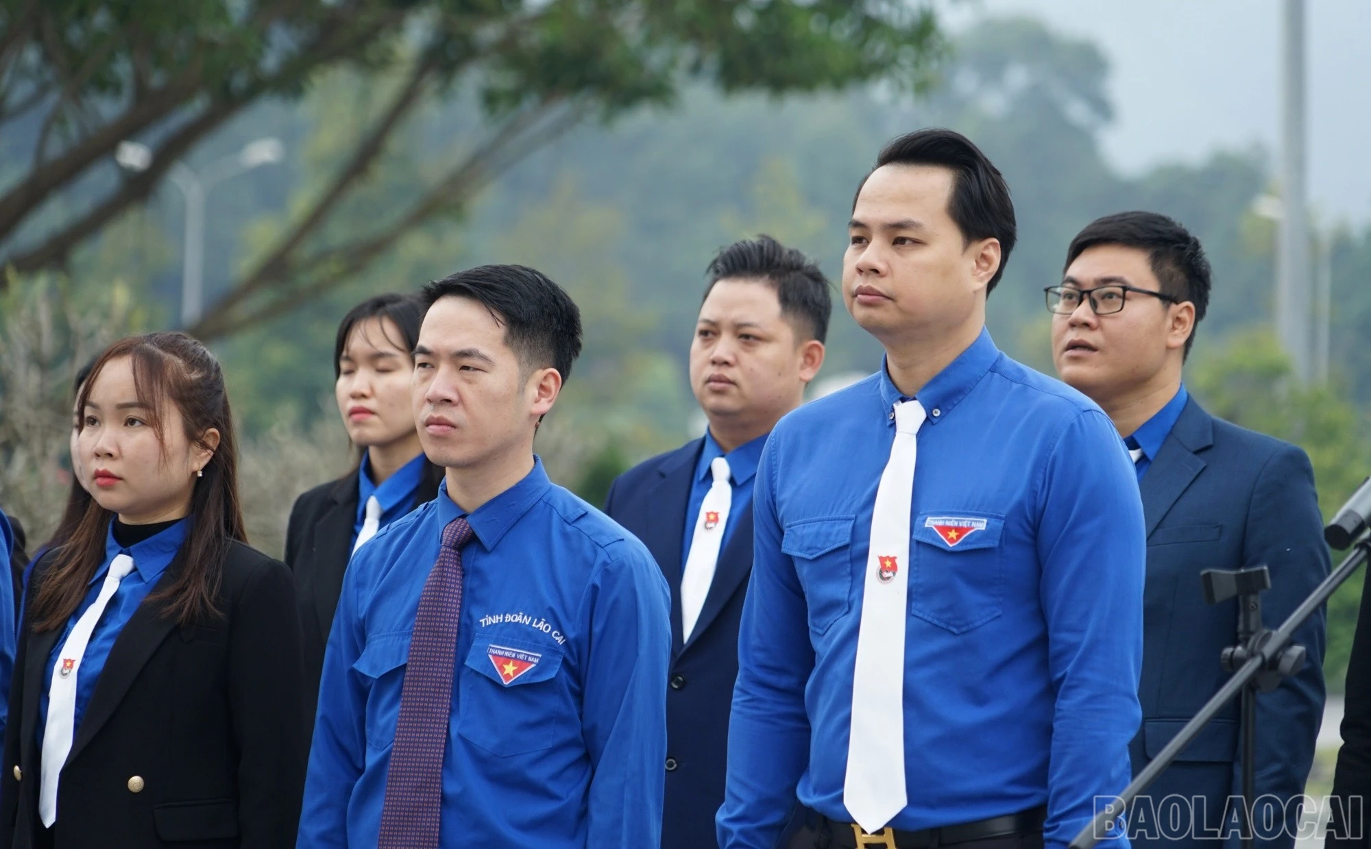 baolaocai-br_them.jpg