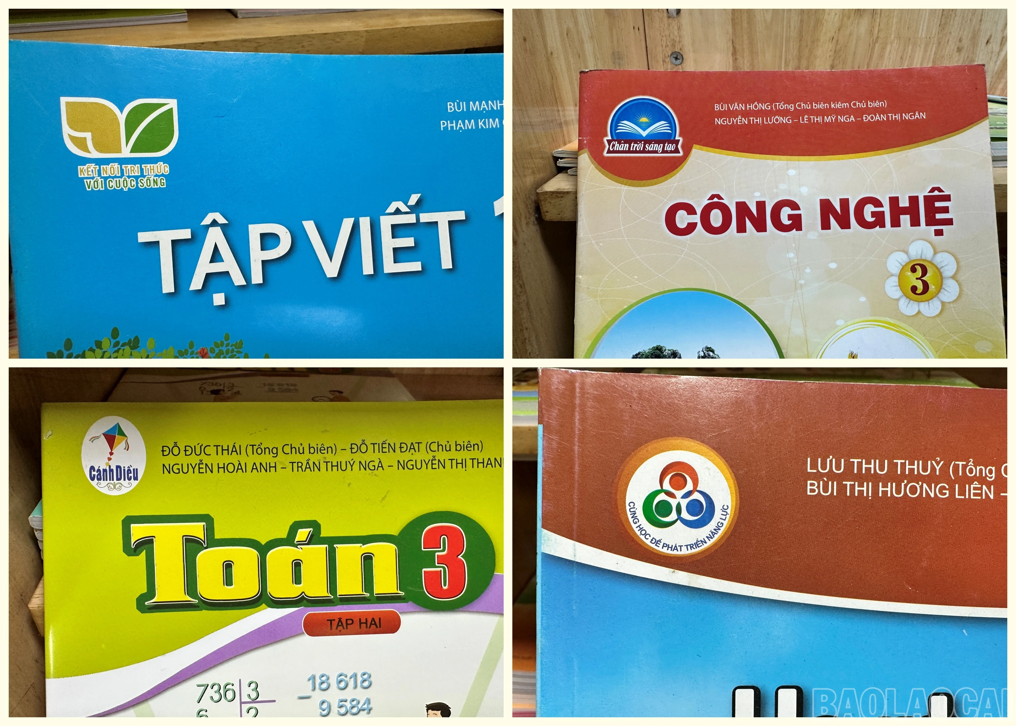 baolaocai-br_cac-bo-sach.jpg