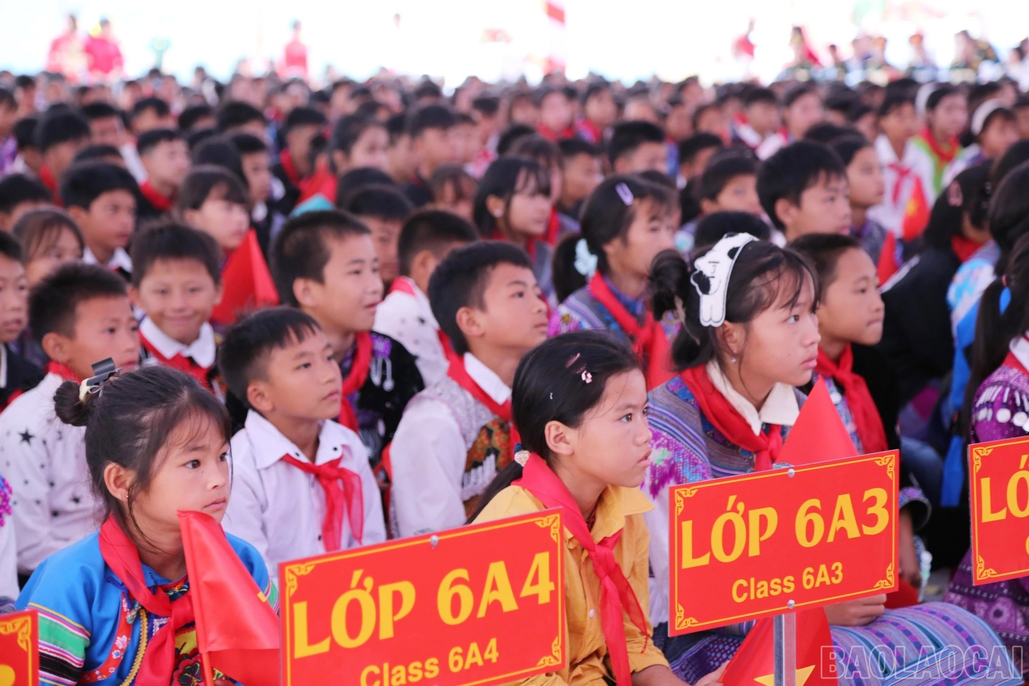 baolaocai-br_pha-long-1.jpg