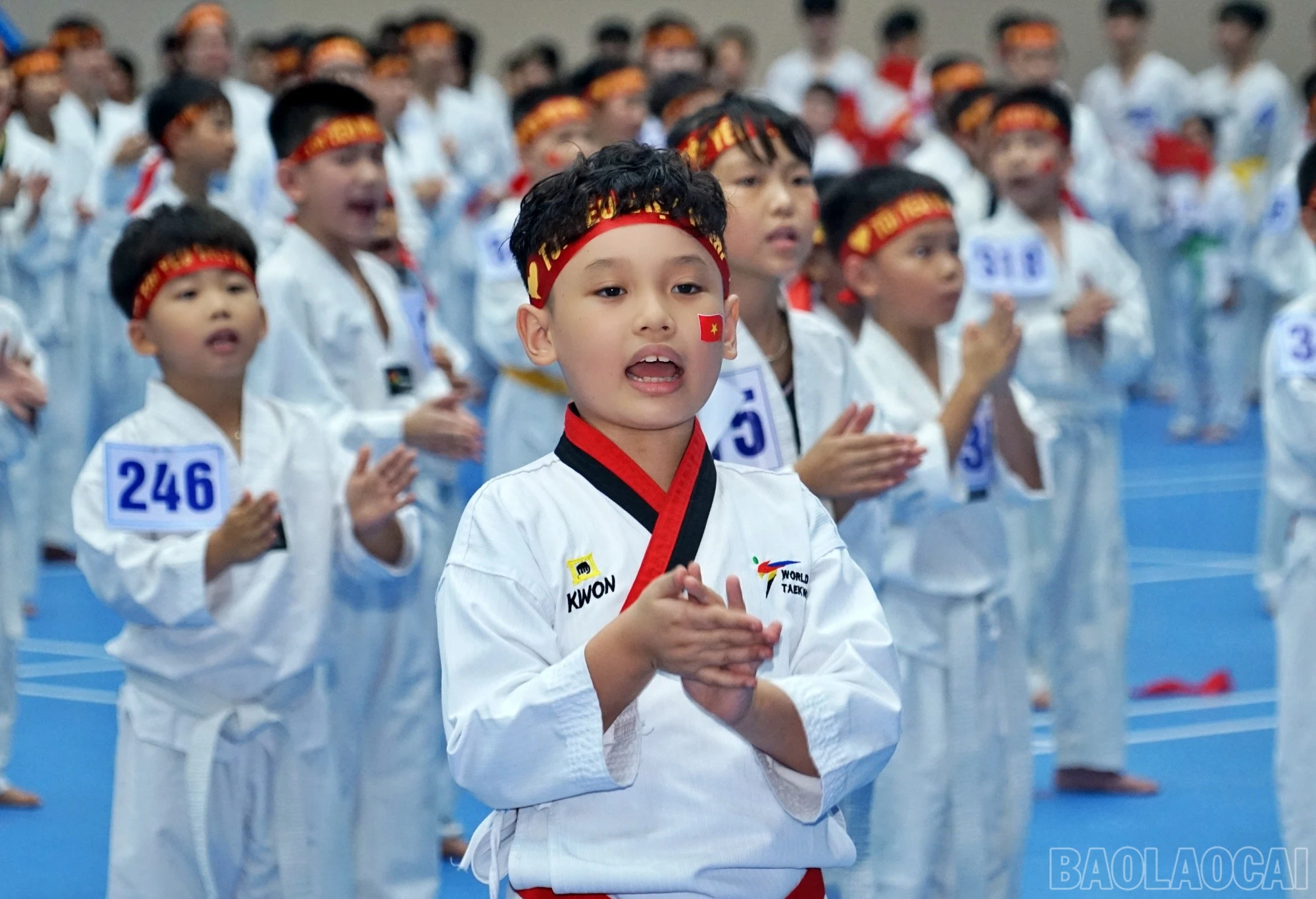 baolaocai-br_dien2.jpg