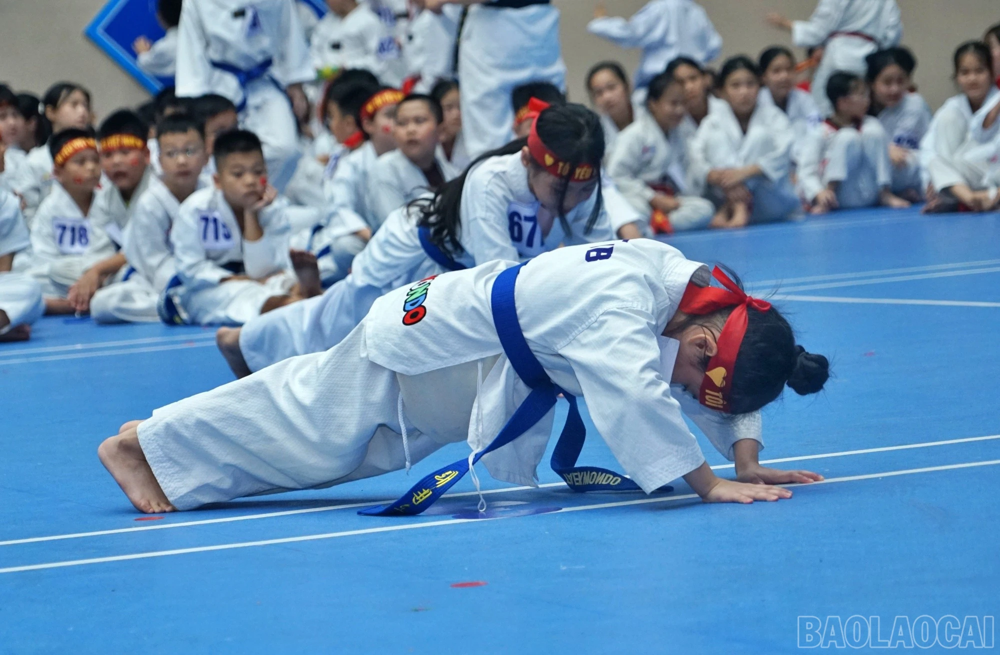 baolaocai-br_the-luc.jpg