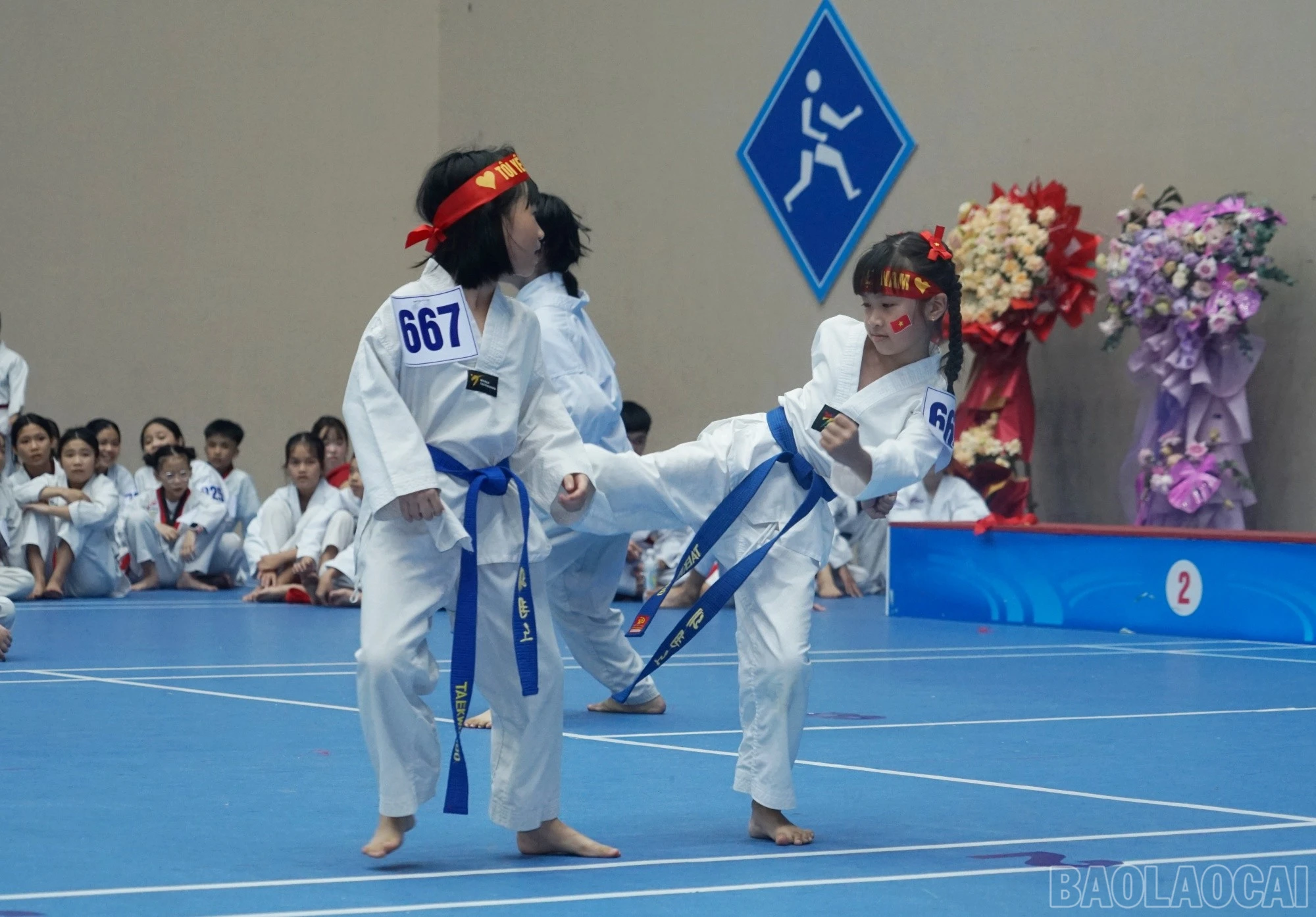 baolaocai-br_doi-khang.jpg