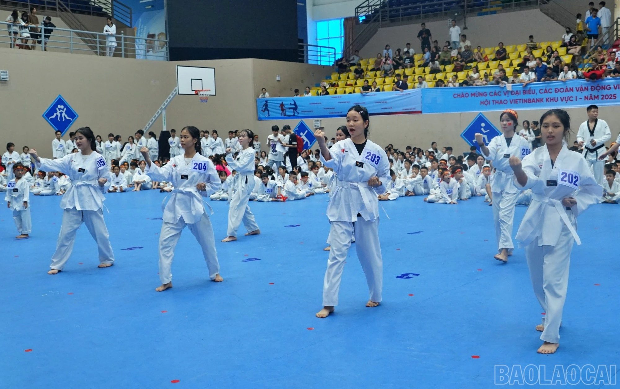 baolaocai-br_trang-len-vang.jpg