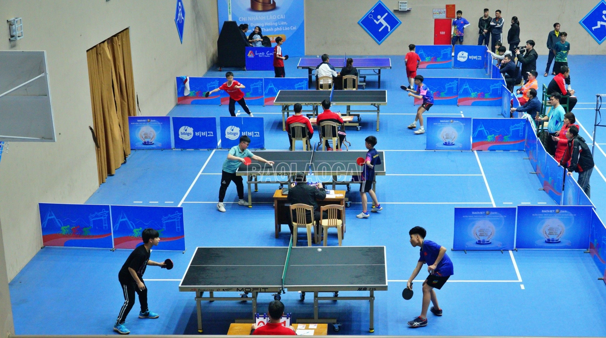 baolaocai-c_kmbb6.jpg