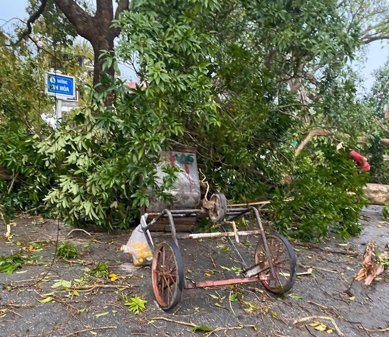hien-truong.jpg