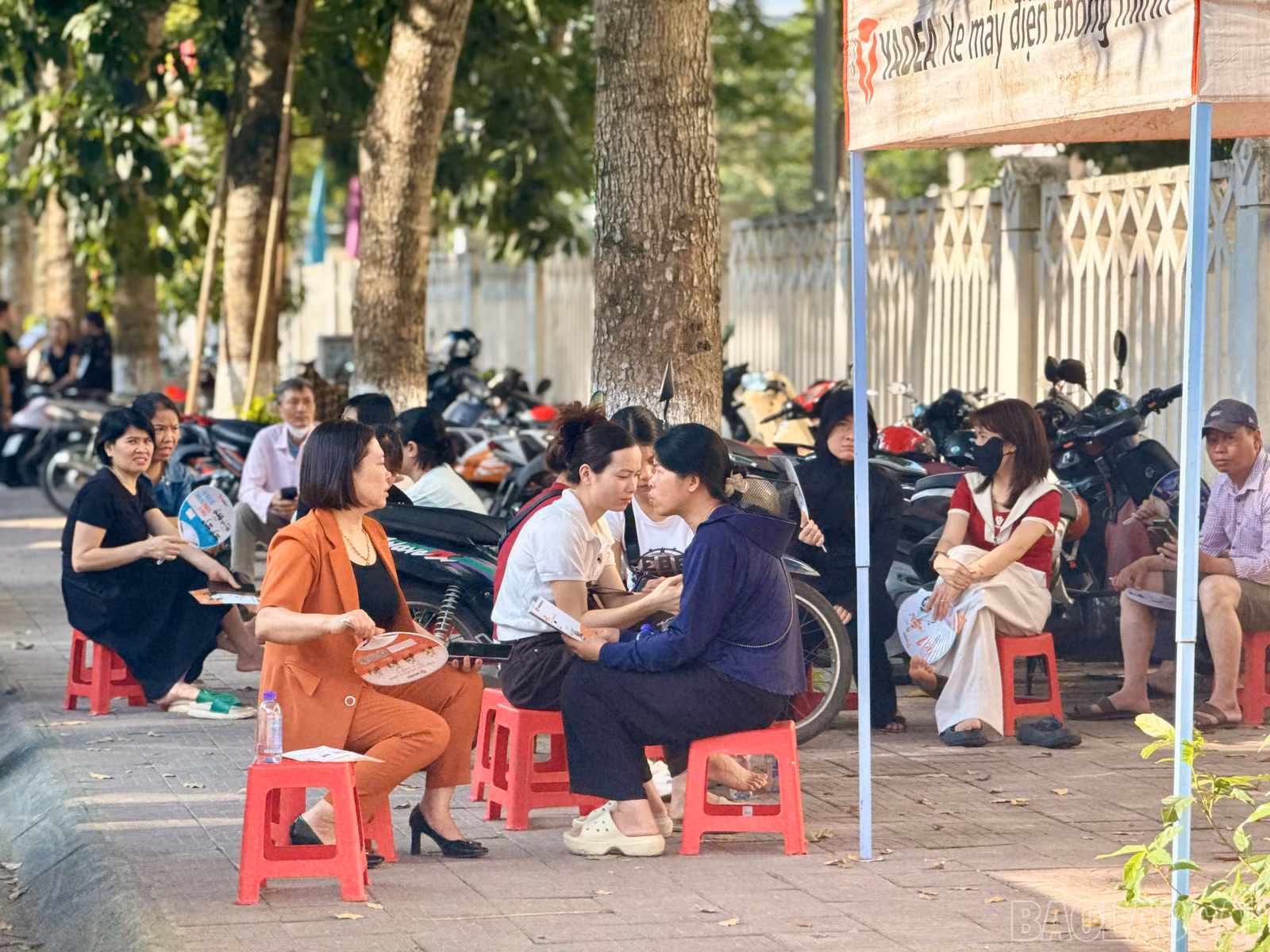 baolaocai-br_z7869559029714-d9e9ceacbbeb825b5a3a0288ea72f8e5.jpg