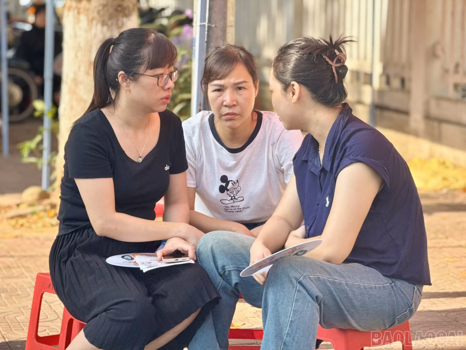 baolaocai-br_z7869559036834-21a00b6151099909e585dce6203f16d2.jpg