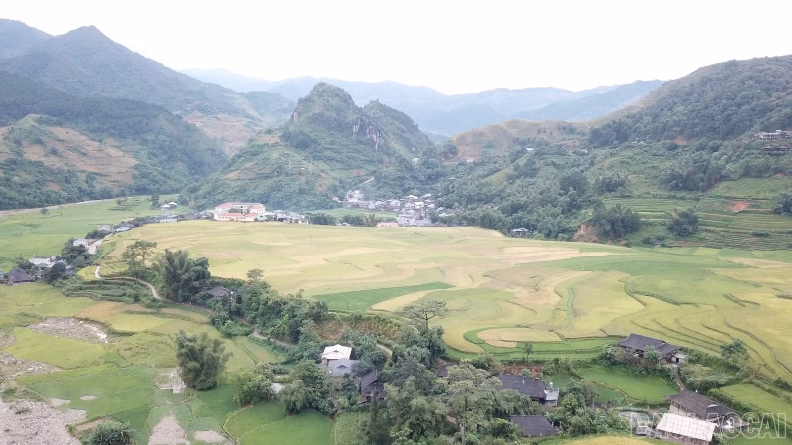baolaocai-br_917fd9c8-bc66-4ae8-8c4f-052da315a92a-1-201-a.jpg