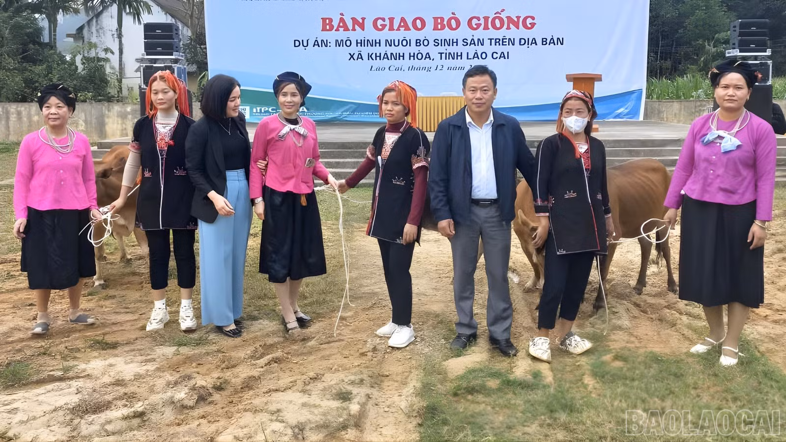 baolaocai-br_khanh-hoa-bo.jpg