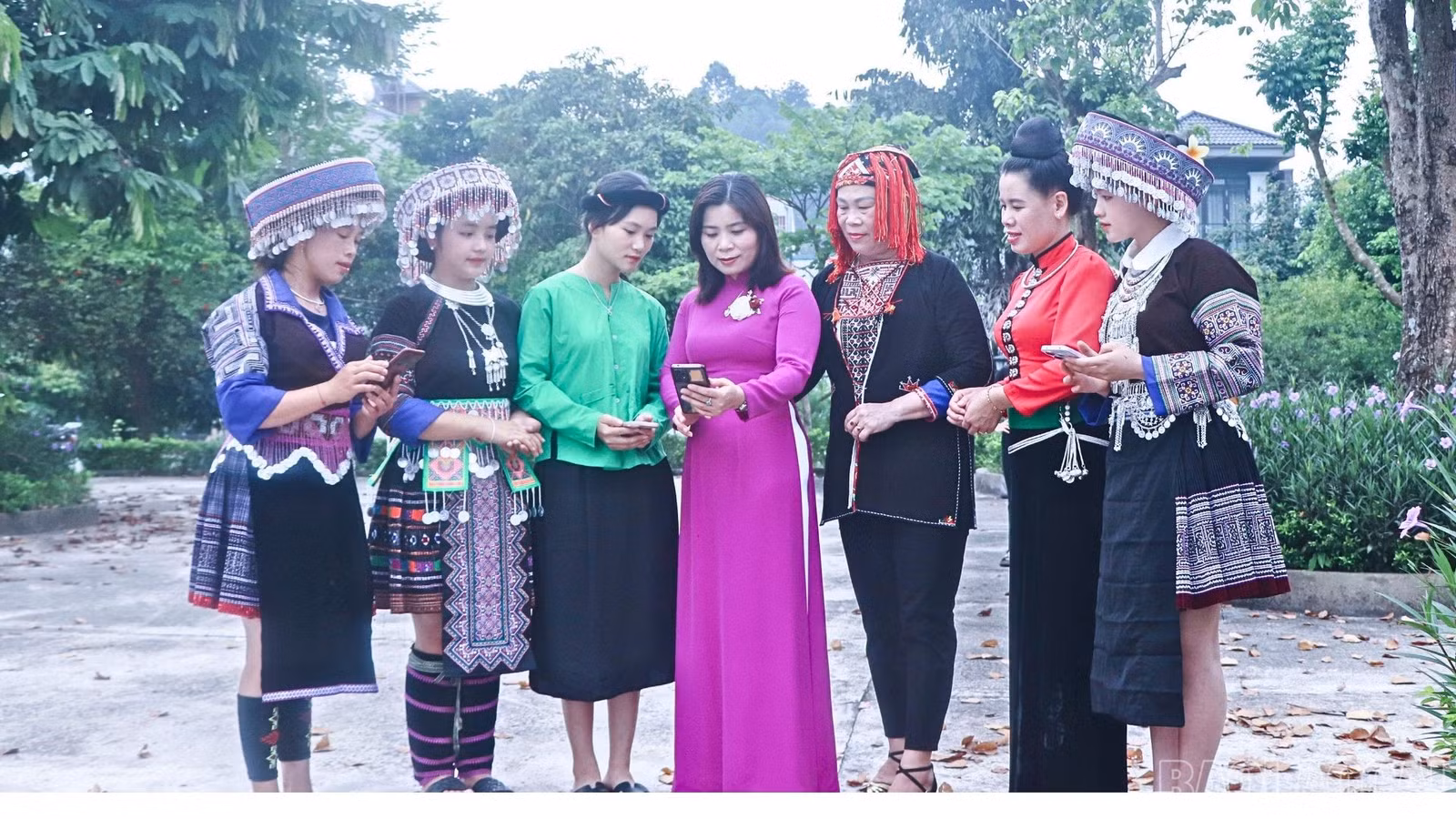 baolaocai-br_thuy.jpg