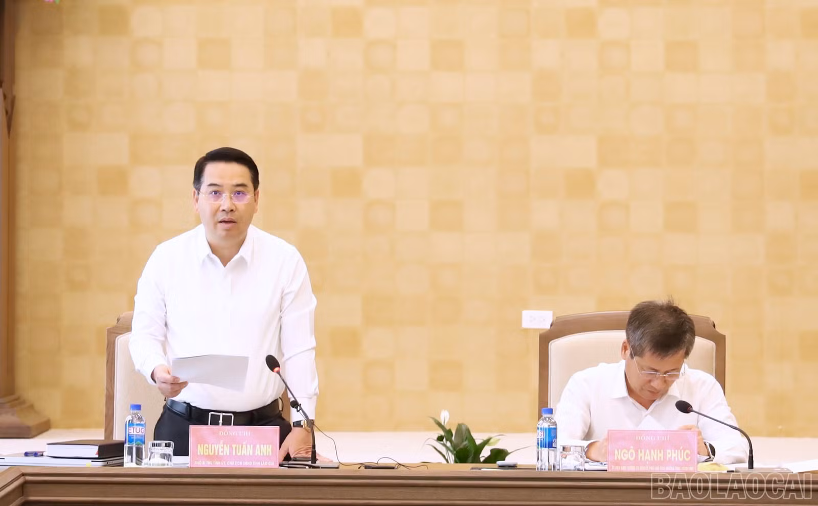 baolaocai-br_ce3c5725-03b9-4a8f-b02c-1c0289f79f8c-1-201-a.jpg