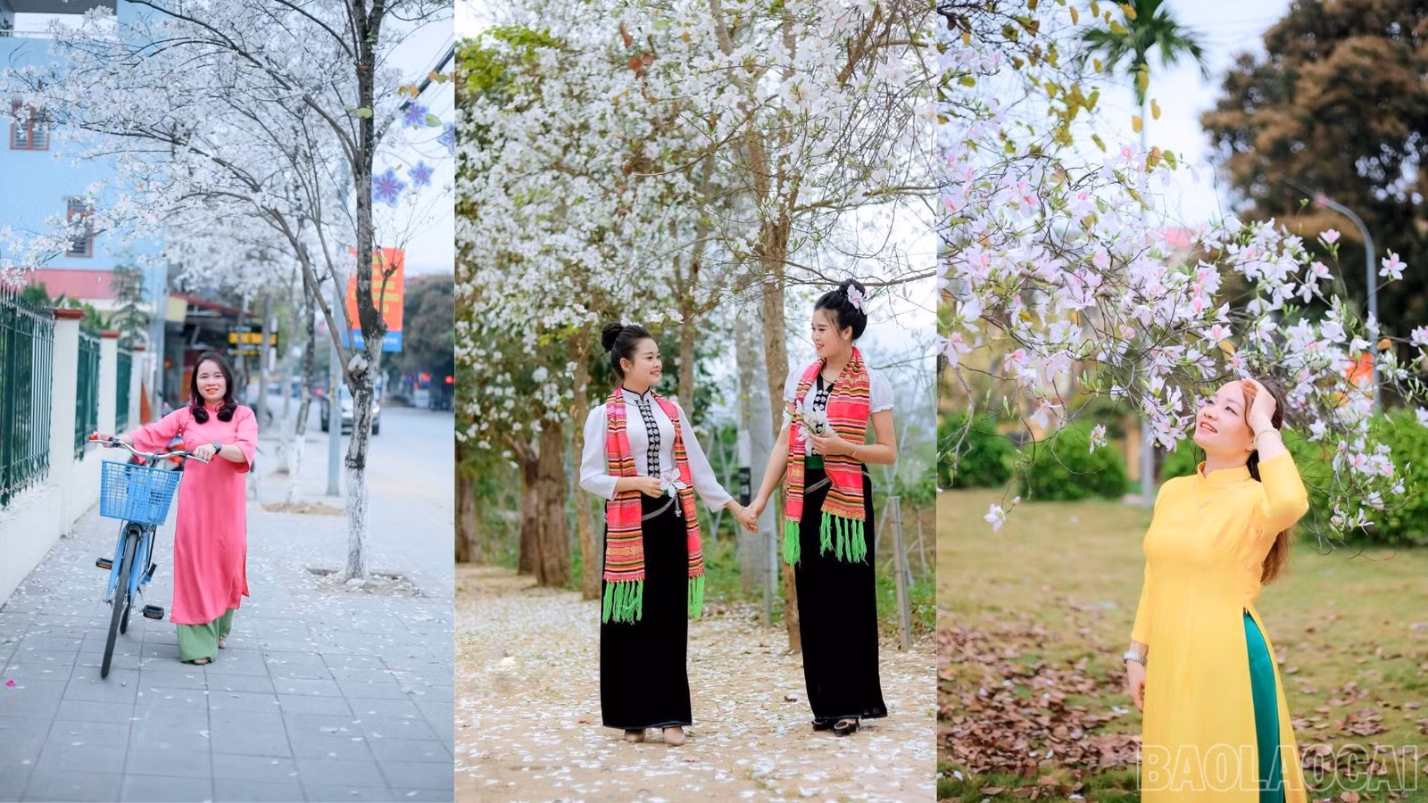 baolaocai-br_tuyen-duong-ban-dep.jpg
