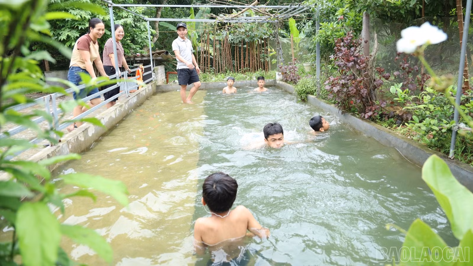 baolaocai-br_4-lay.jpg